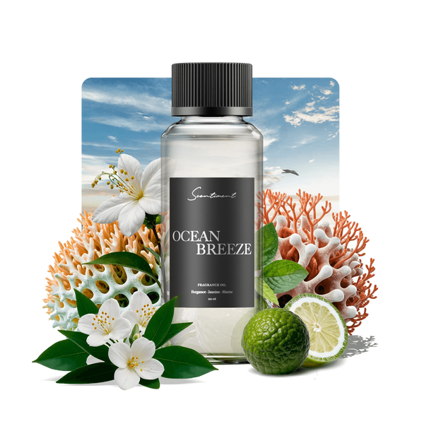 Ocean Breeze Fragrance Diffuser Oil Inspired by Ritz-Carlton® With Ingredients