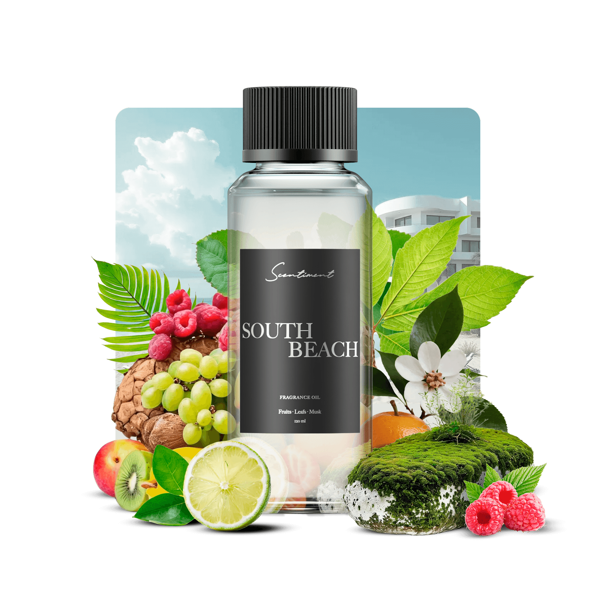 South Beach Fragrance Diffuser Oil Inspired by SLS® Hotels With Ingredients