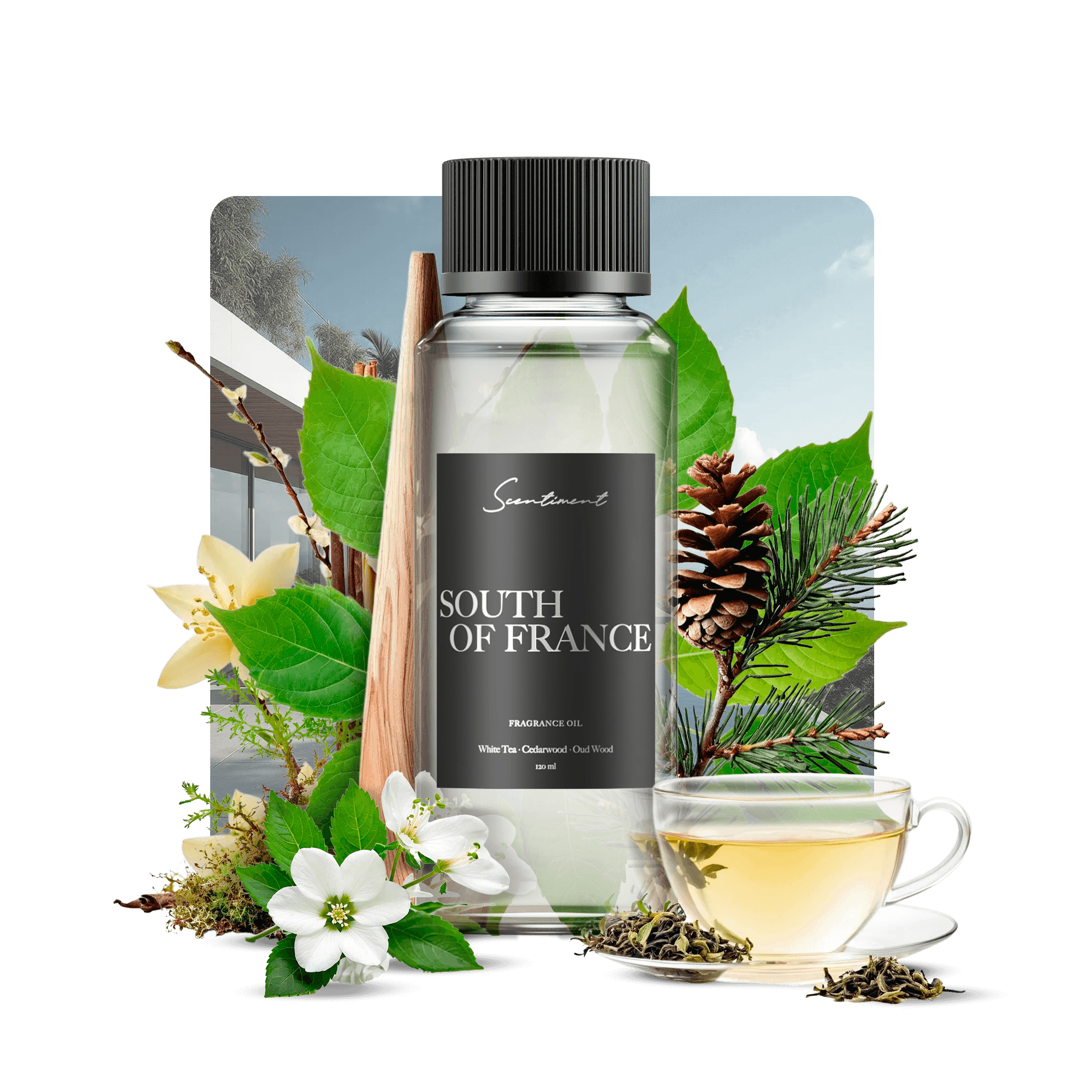 South of France Fragrance Diffuser Oil Inspired by Sofitel® Hotels With Ingredients