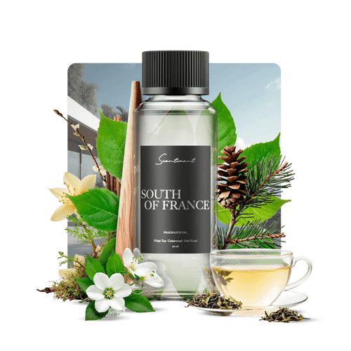 South of France Fragrance Diffuser Oil Inspired by Sofitel® Hotels With Ingredients