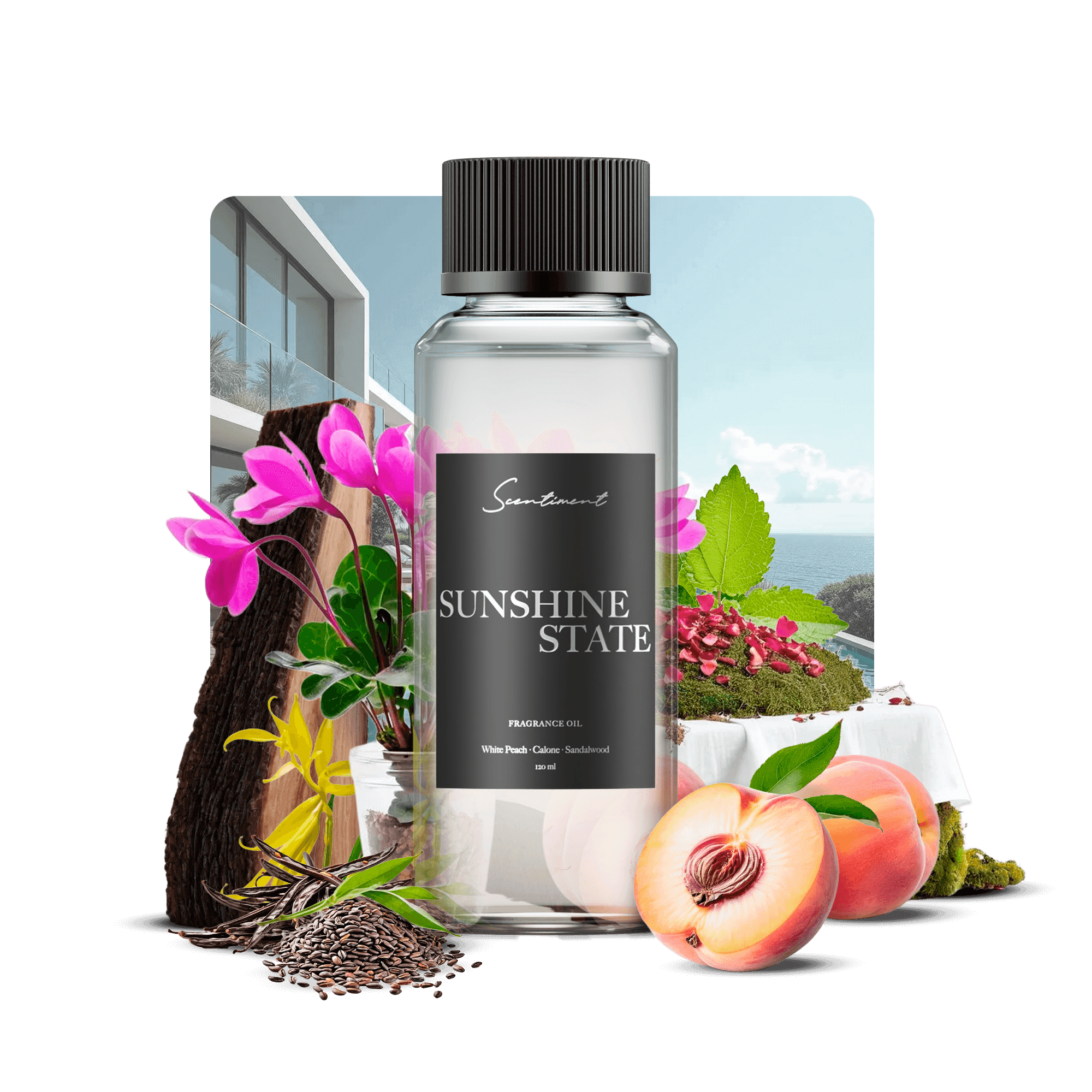 Sunshine State Fragrance Diffuser Oil Inspired by Acqualina® Resort With Ingredients