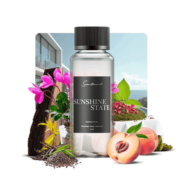 Sunshine State Fragrance Diffuser Oil Inspired by Acqualina® Resort With Ingredients