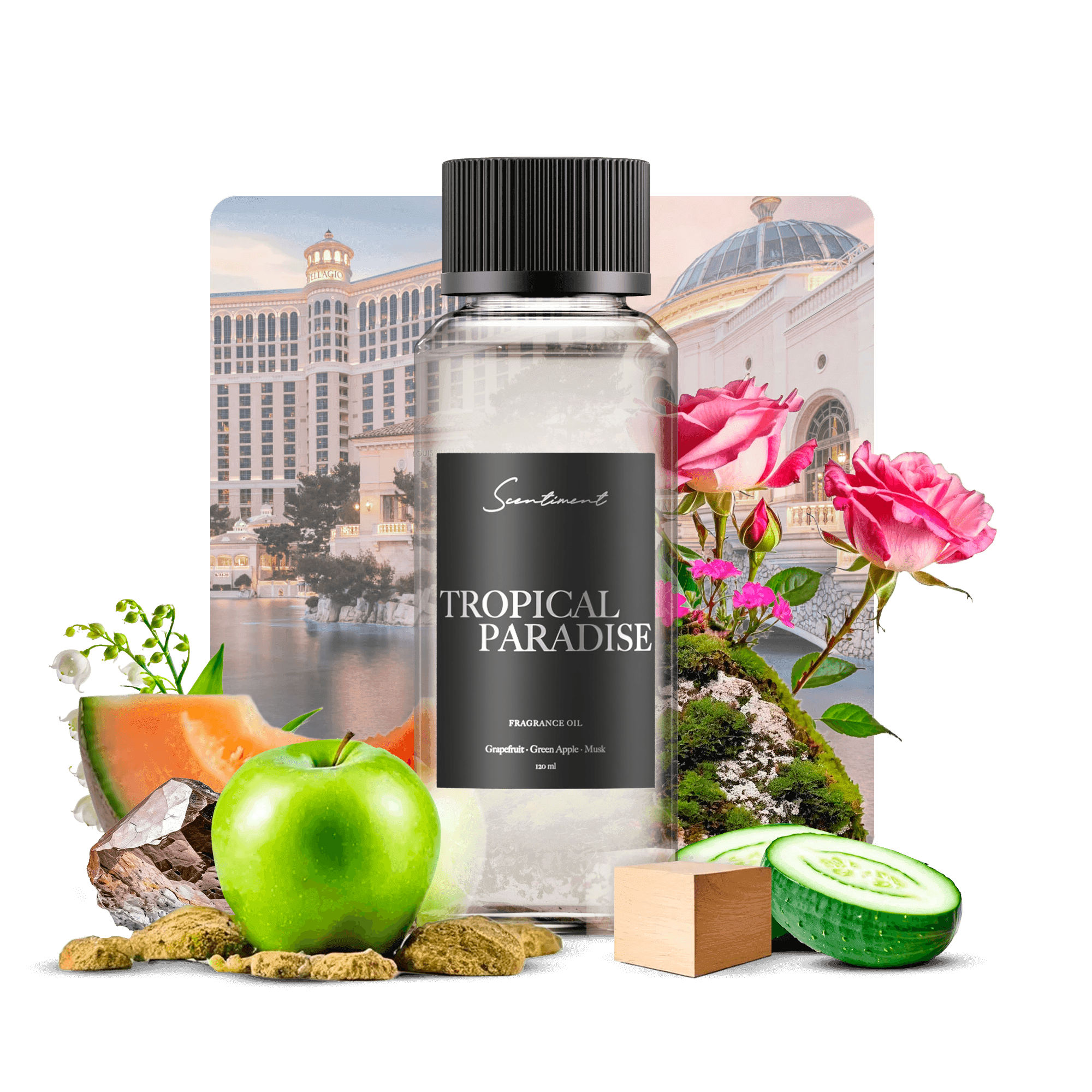Tropical Paradise Fragrance Diffuser Oil Inspired by Bellagio® With Ingredients