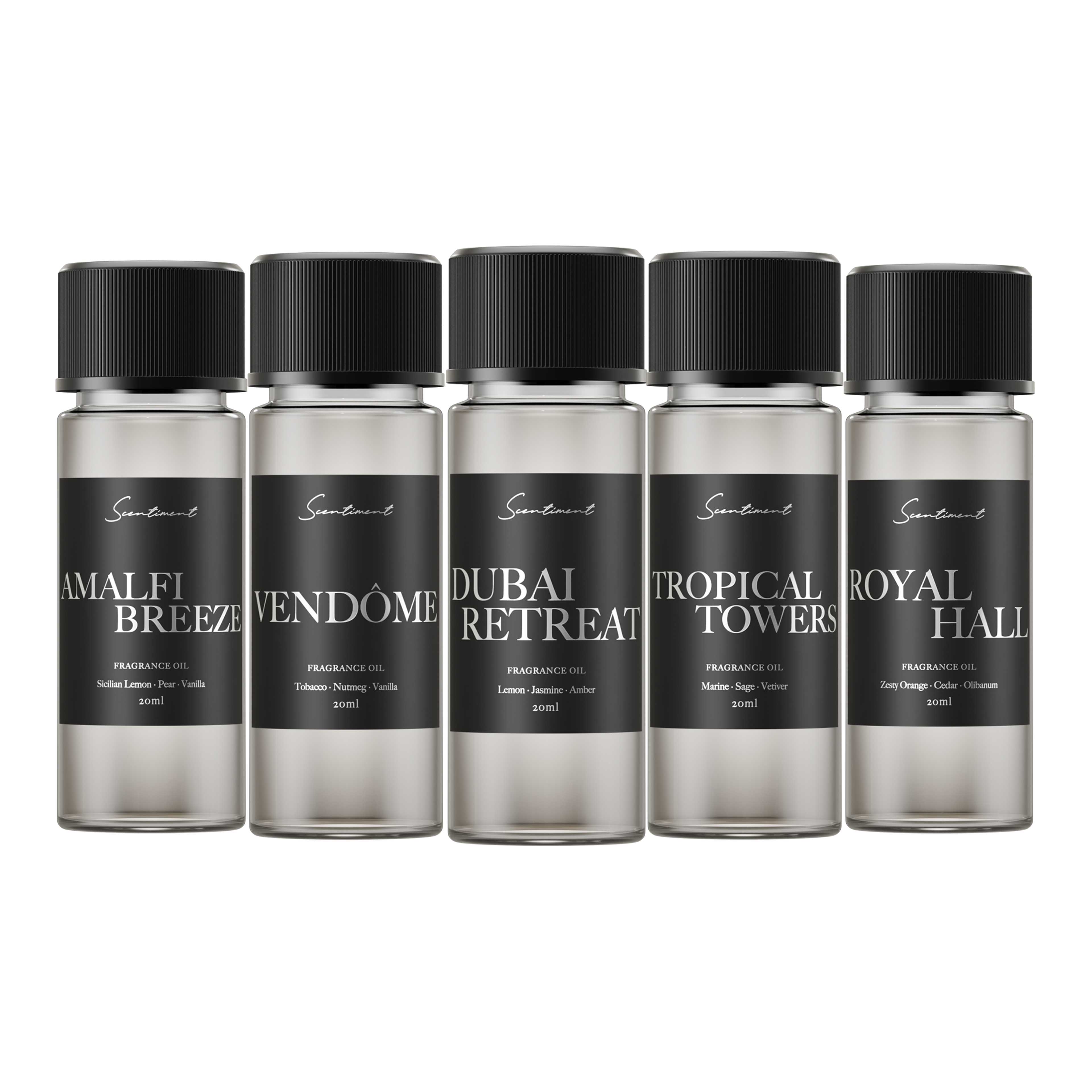 Top 5 Scent Voyage Discovery Set in 20 mL Diffuser Oils