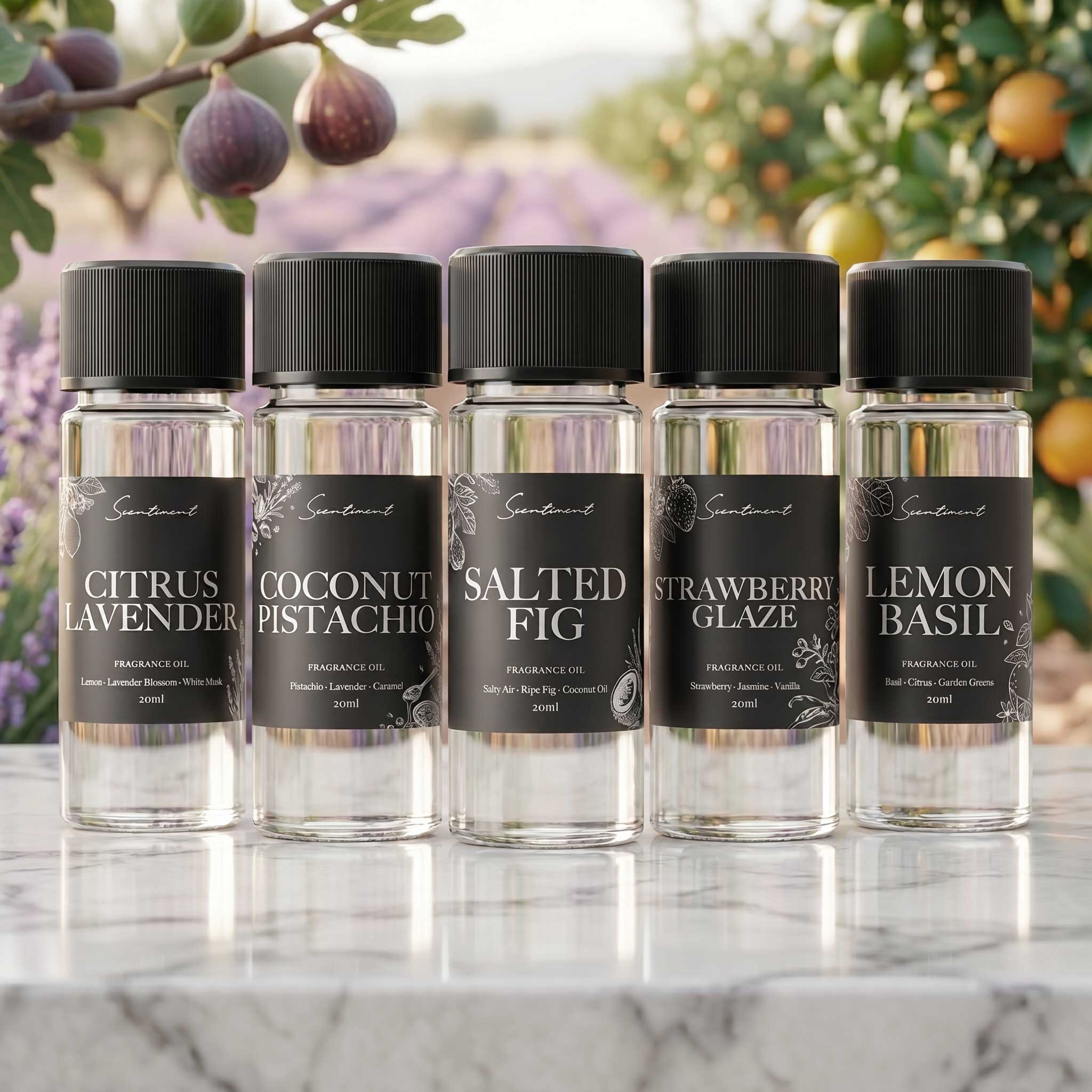 Summer Scents Fragrance Oil Discovery Set – Scentiment