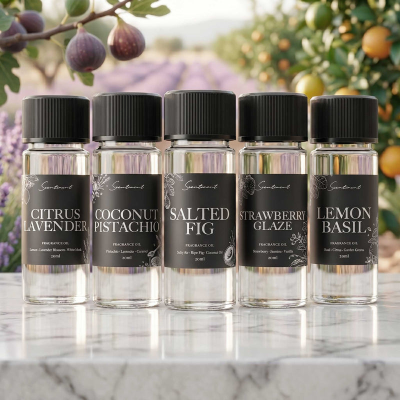 Scentiment Summer Top 5 Fragrance Diffuser Oils