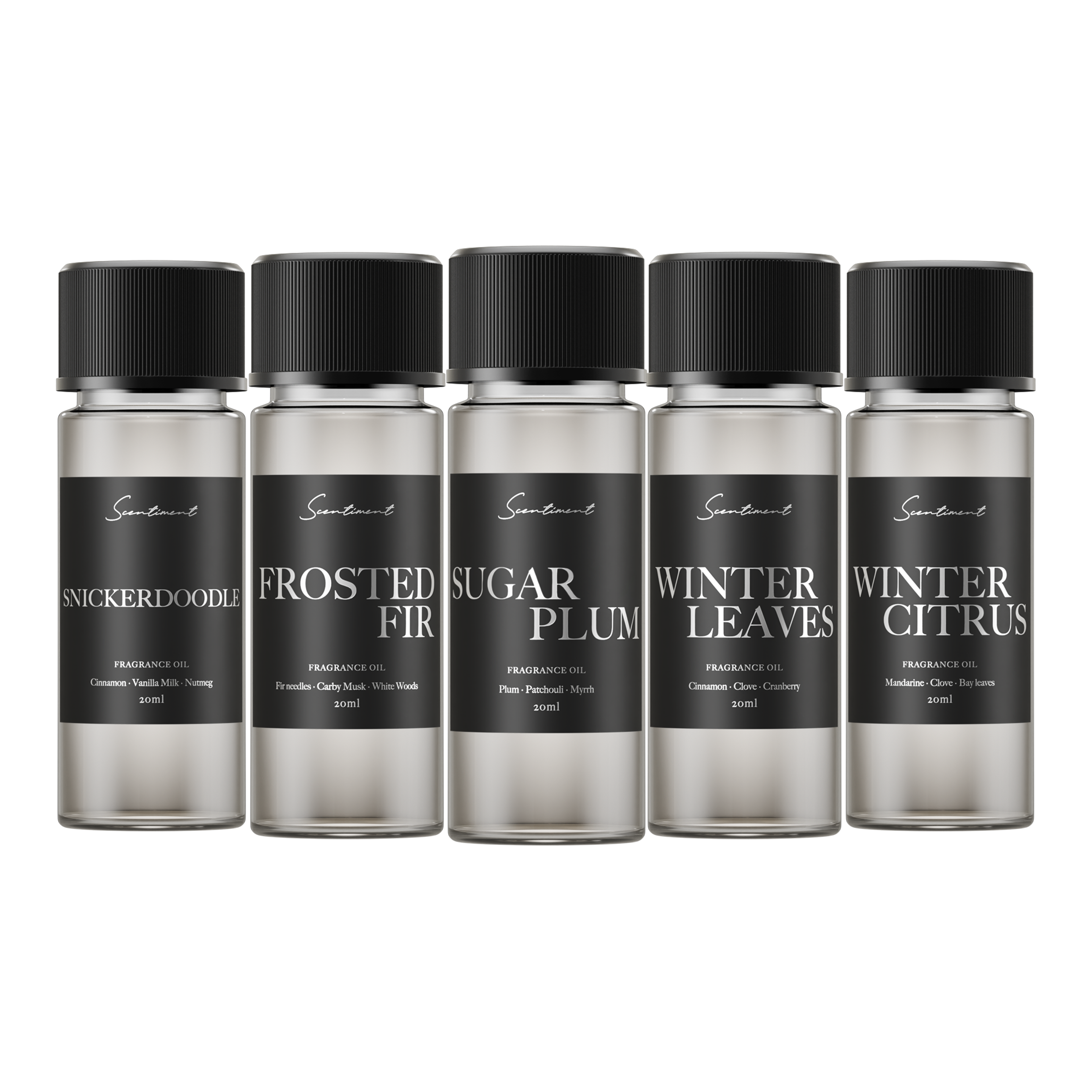 Best Winter Fragrance Oil Scent Discovery Set – Scentiment