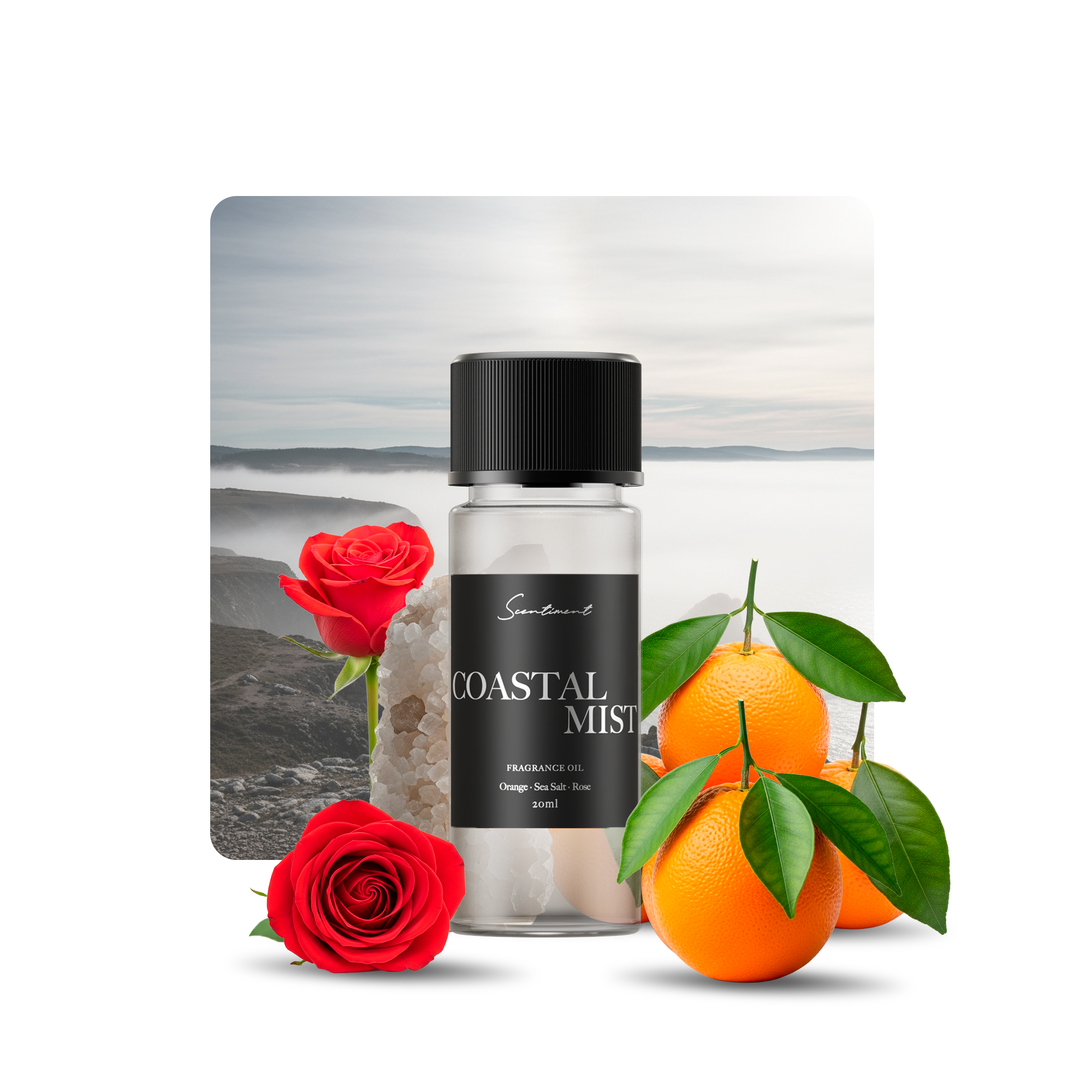 Coastal Mist Diffuser Oil Inspired by the refreshing scent of Ocean Rain With Ingredients