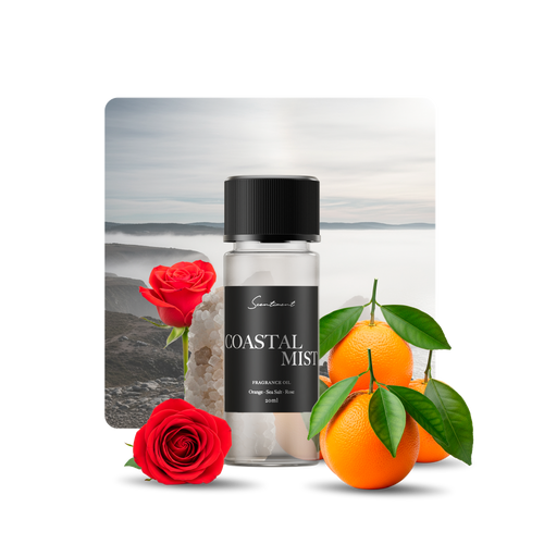 Coastal Mist Diffuser Oil Inspired by the refreshing scent of Ocean Rain With Ingredients