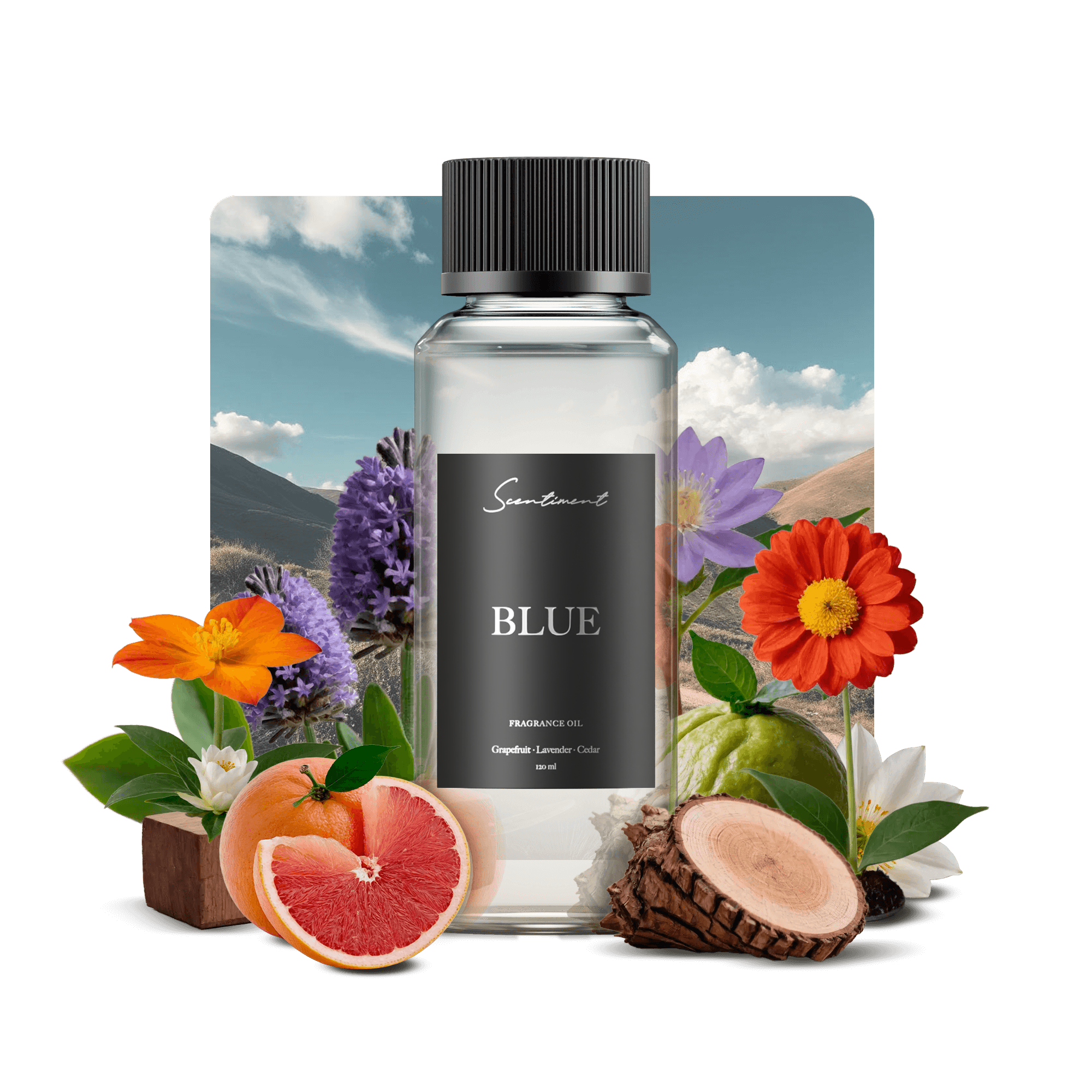 20 ml