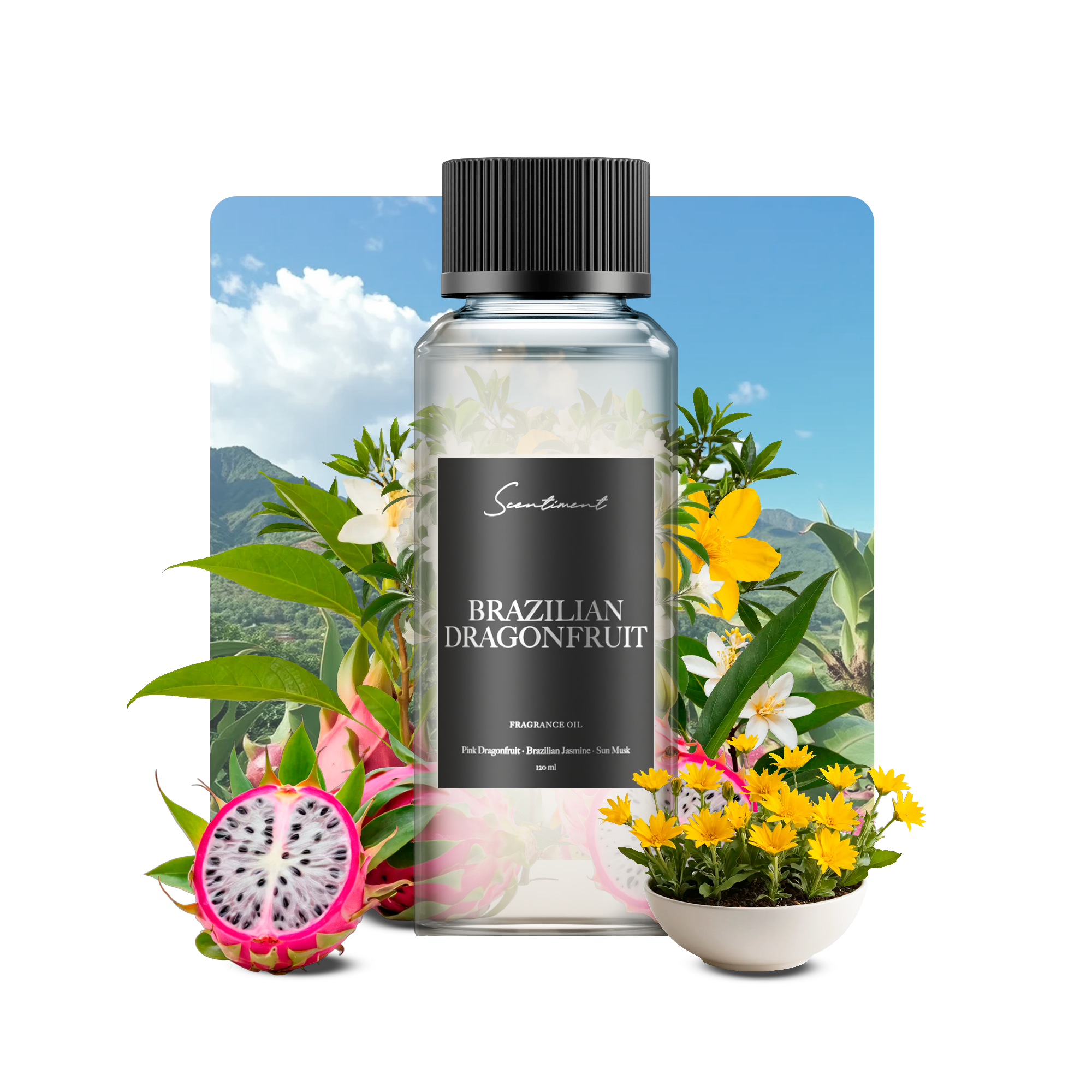 20 ml