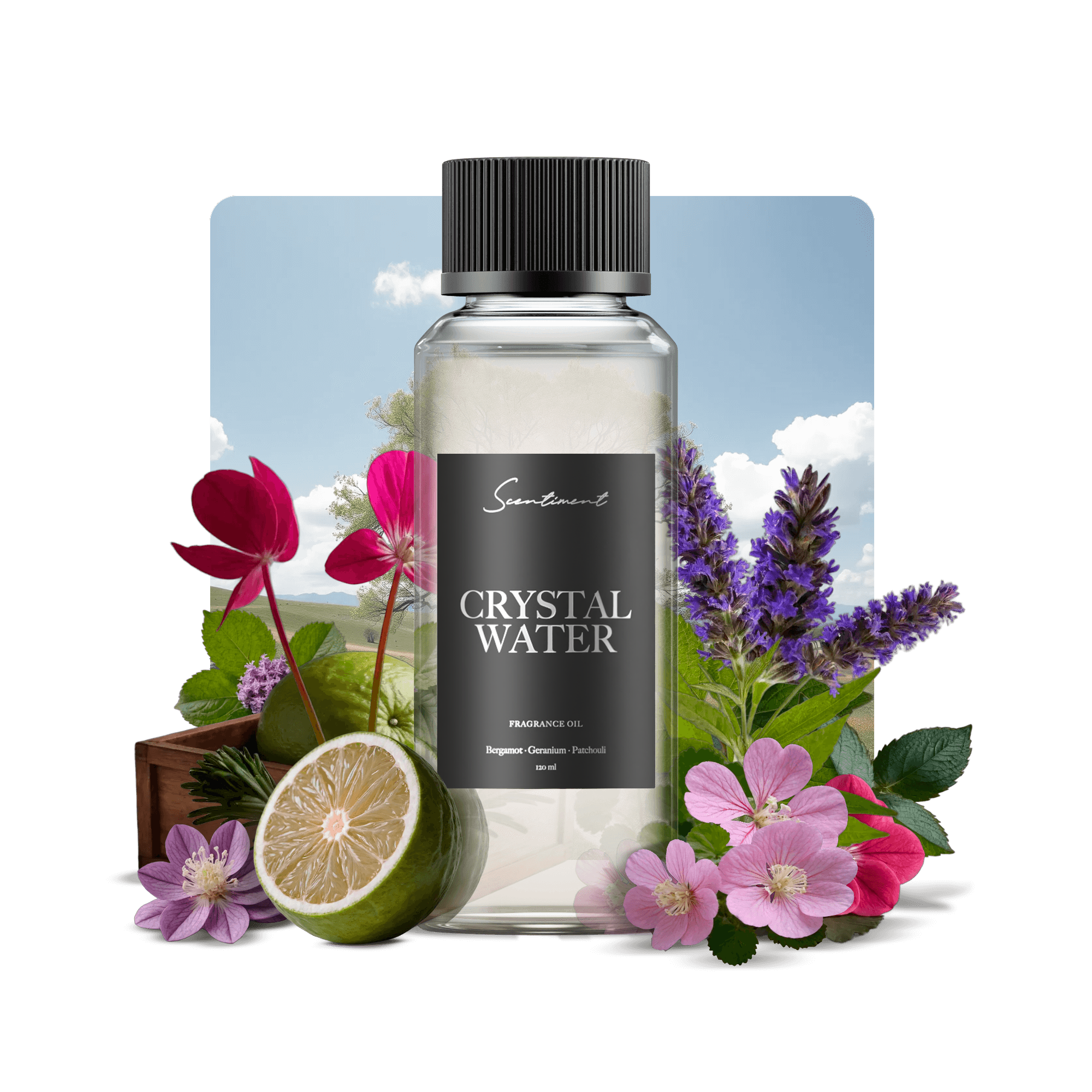 20 ml