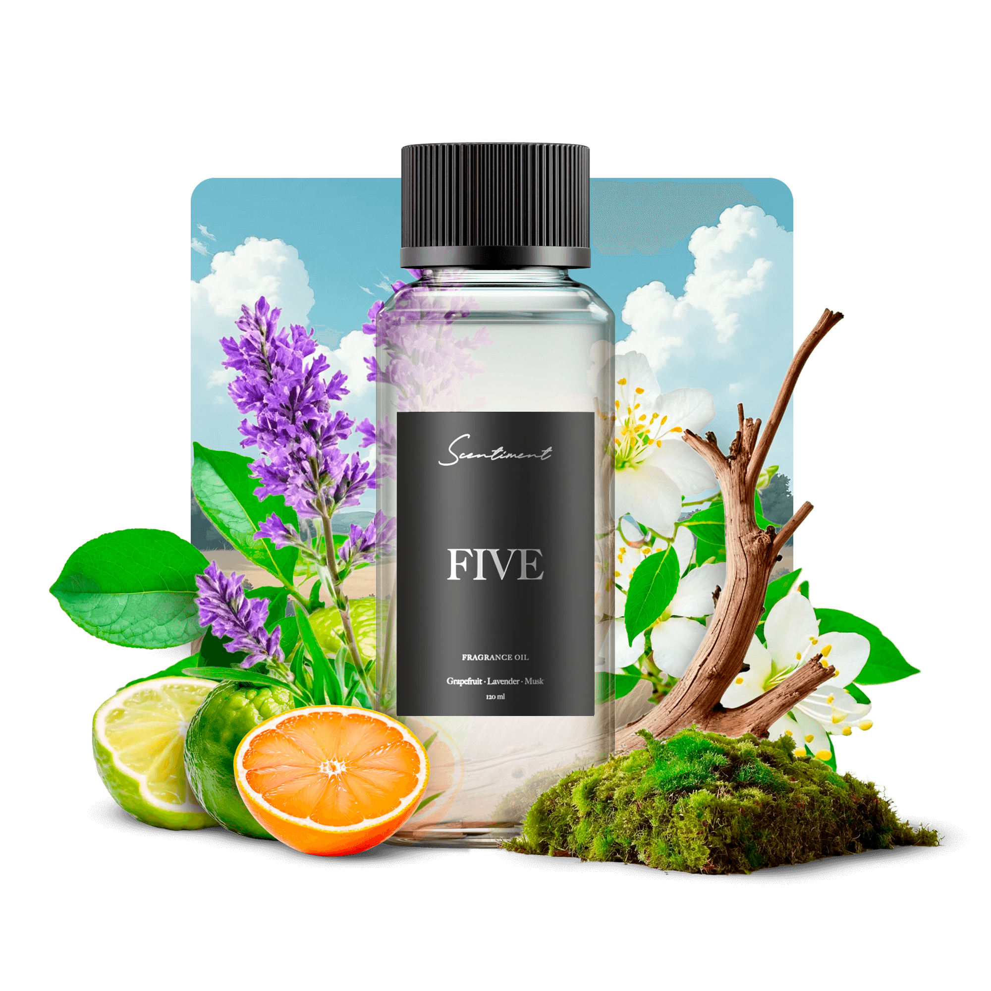 20 ml