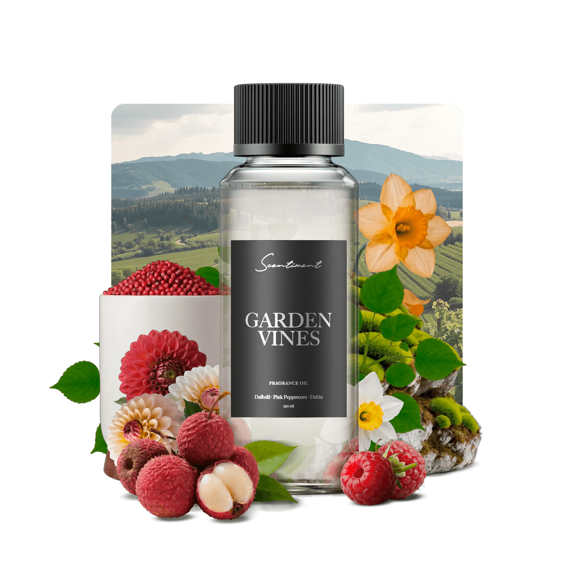 20 ml