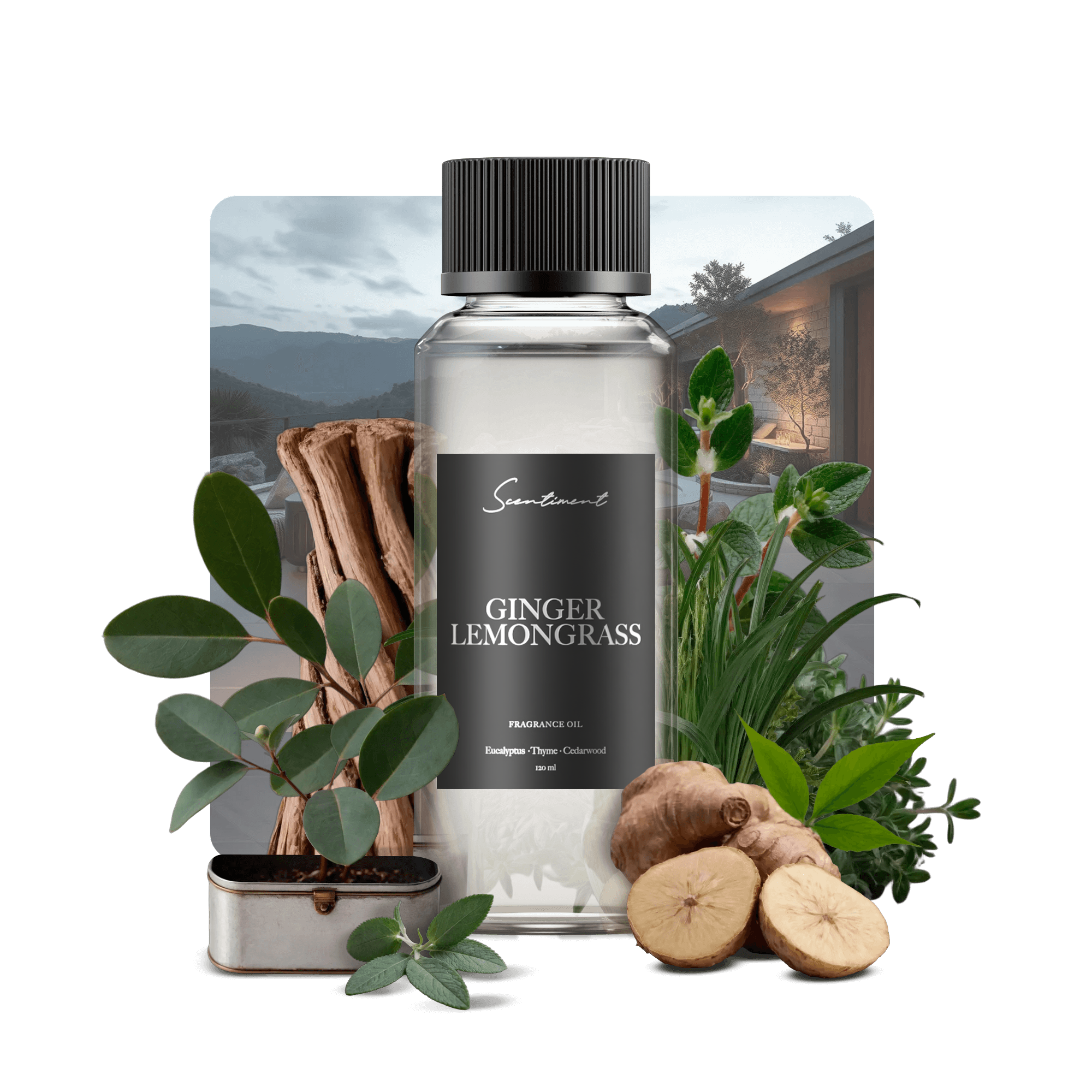 20 ml