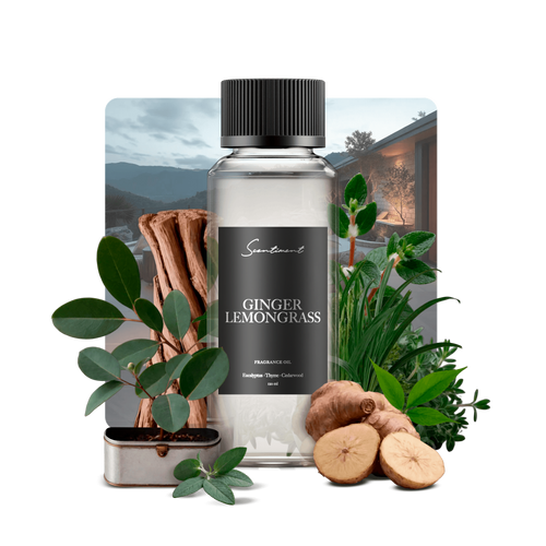 Ginger Lemongrass Diffuser Oil Inspired by NEST® Lemongrass & Ginger With Ingredients