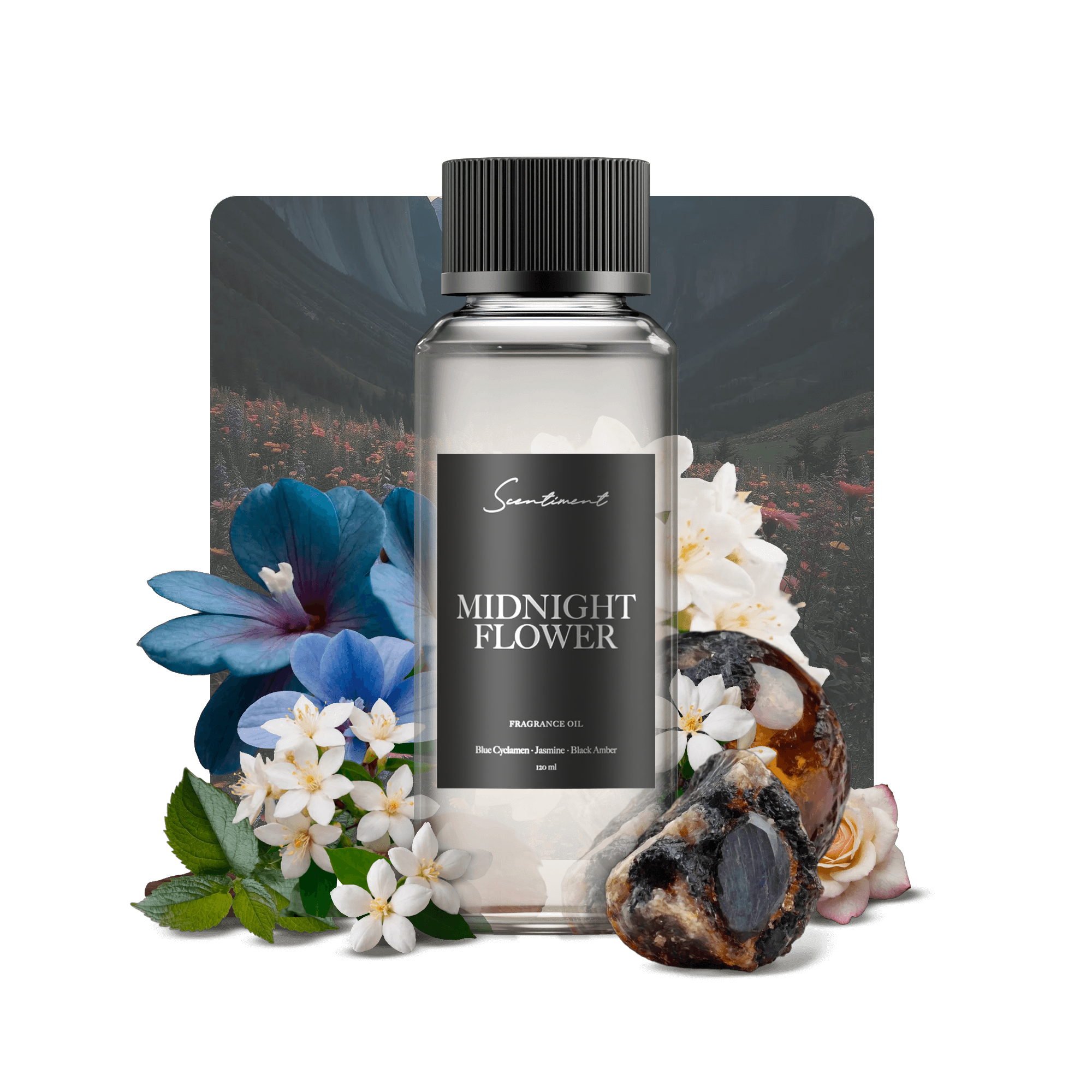 20 ml