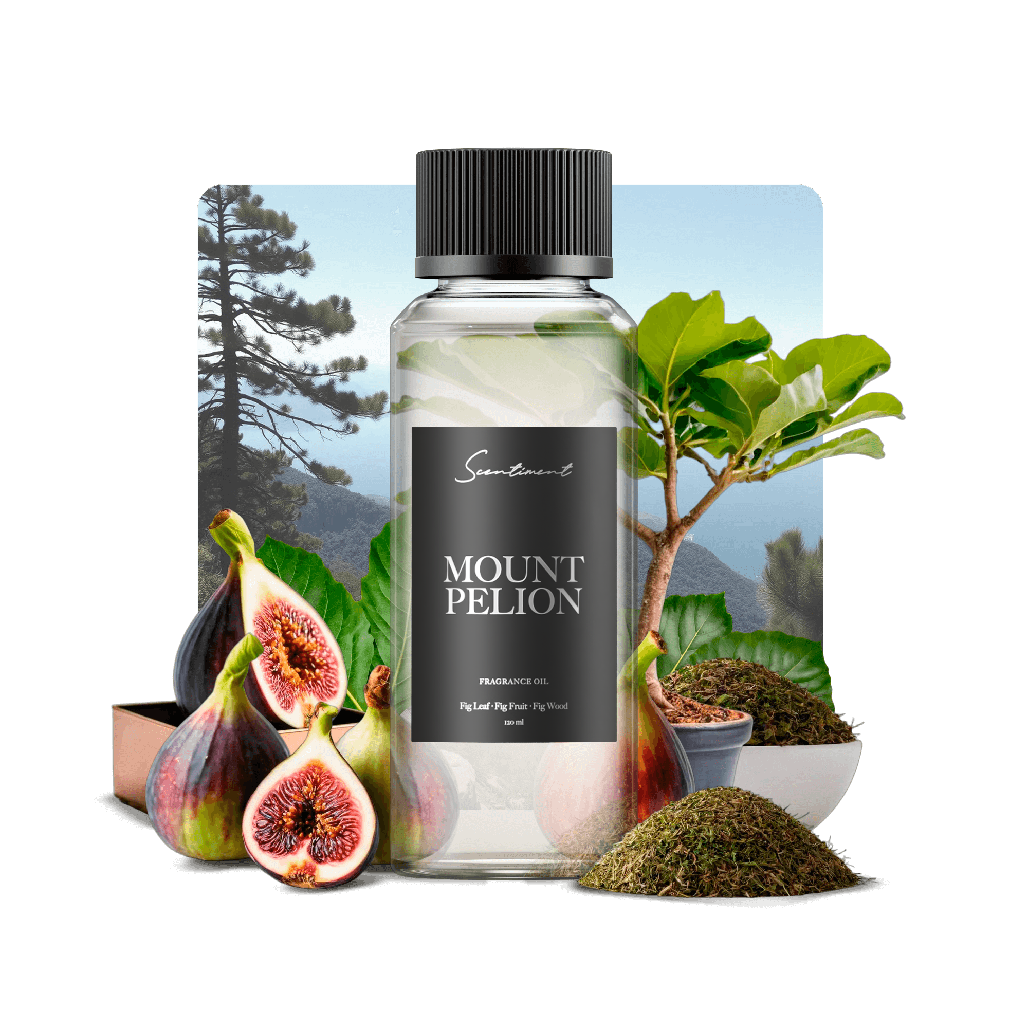 20 ml