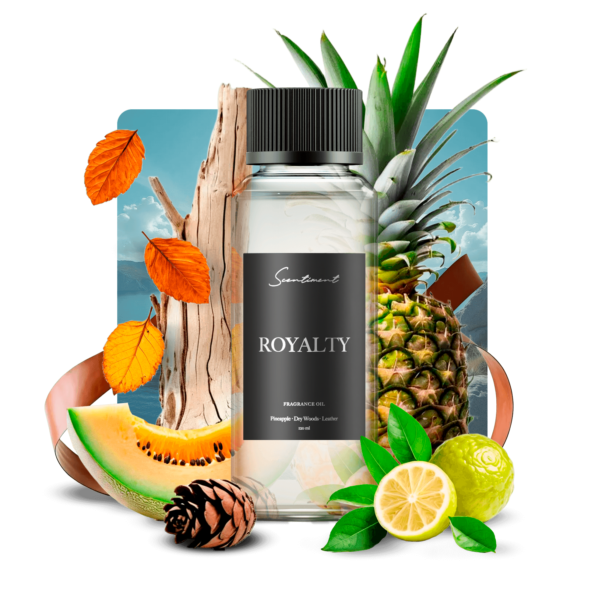 20 ml