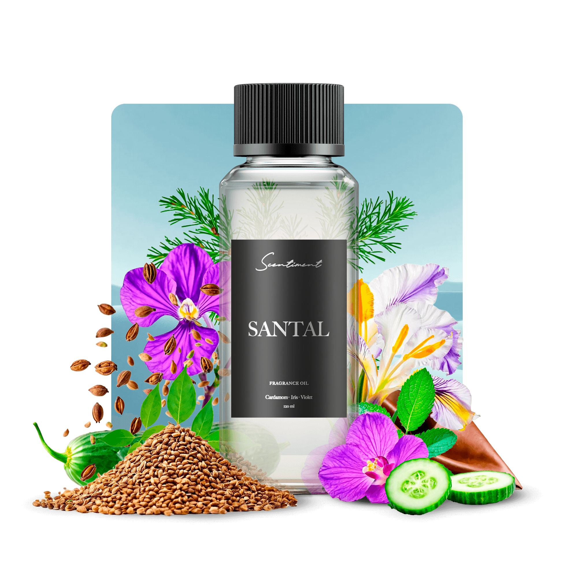 20 ml