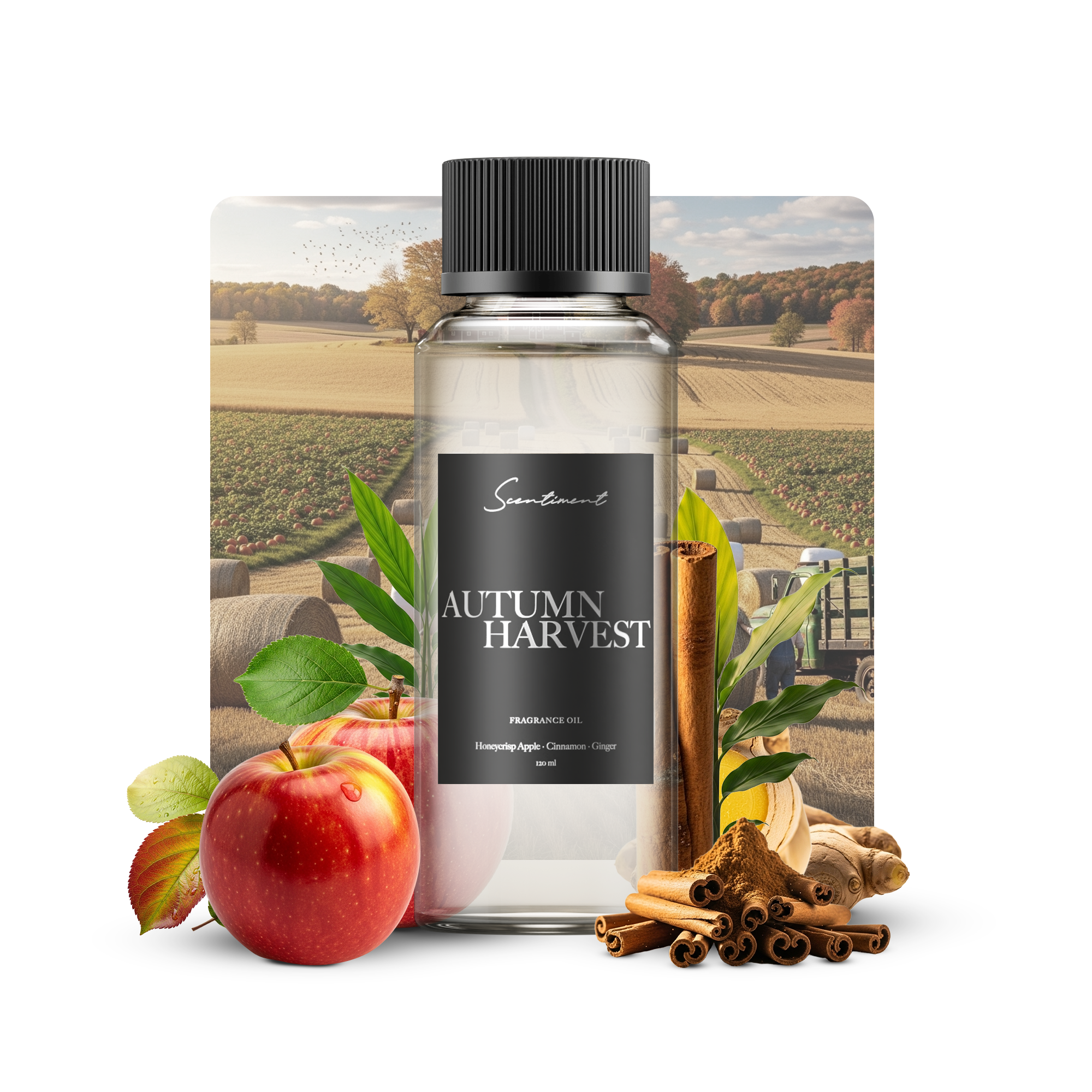 20 ml