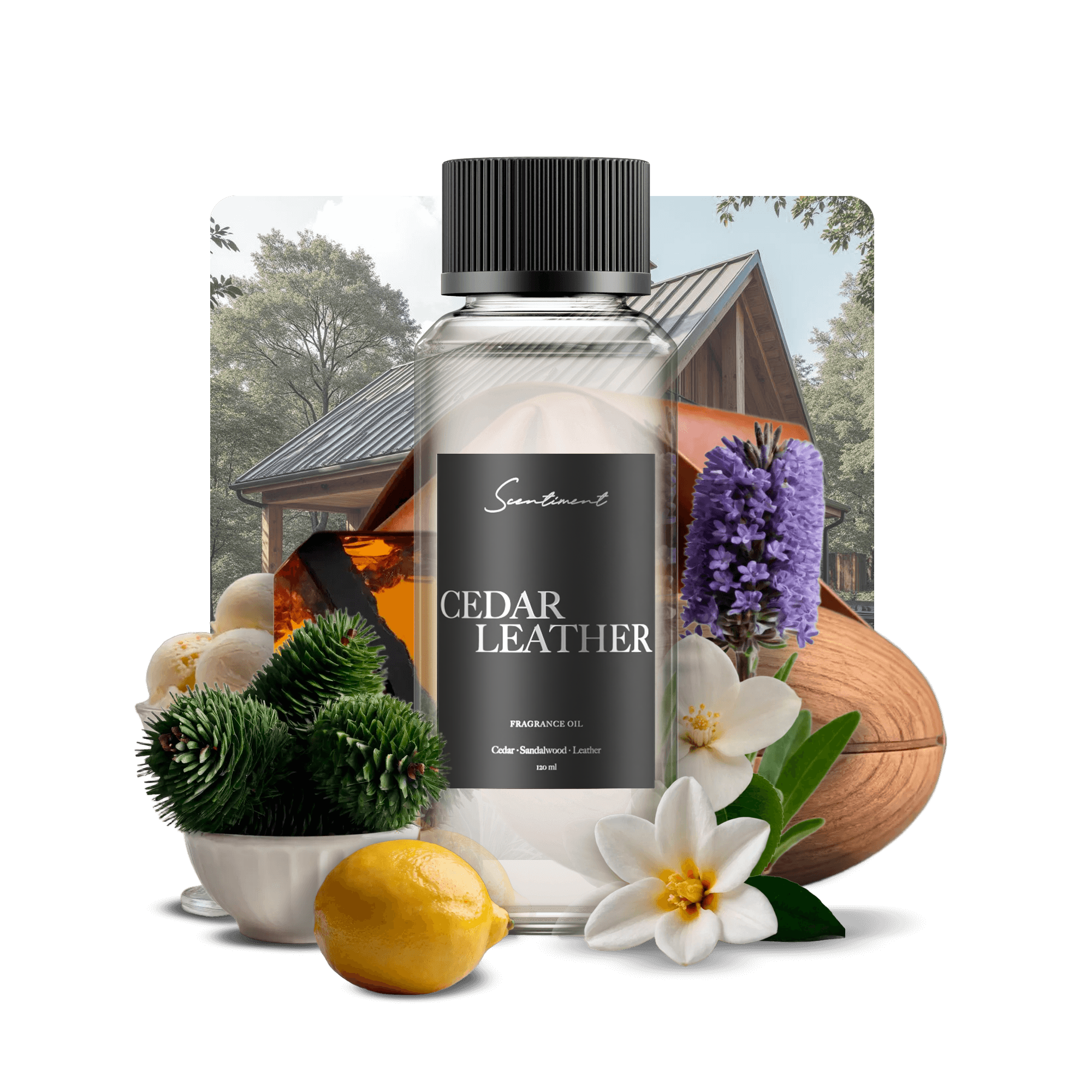 20ml