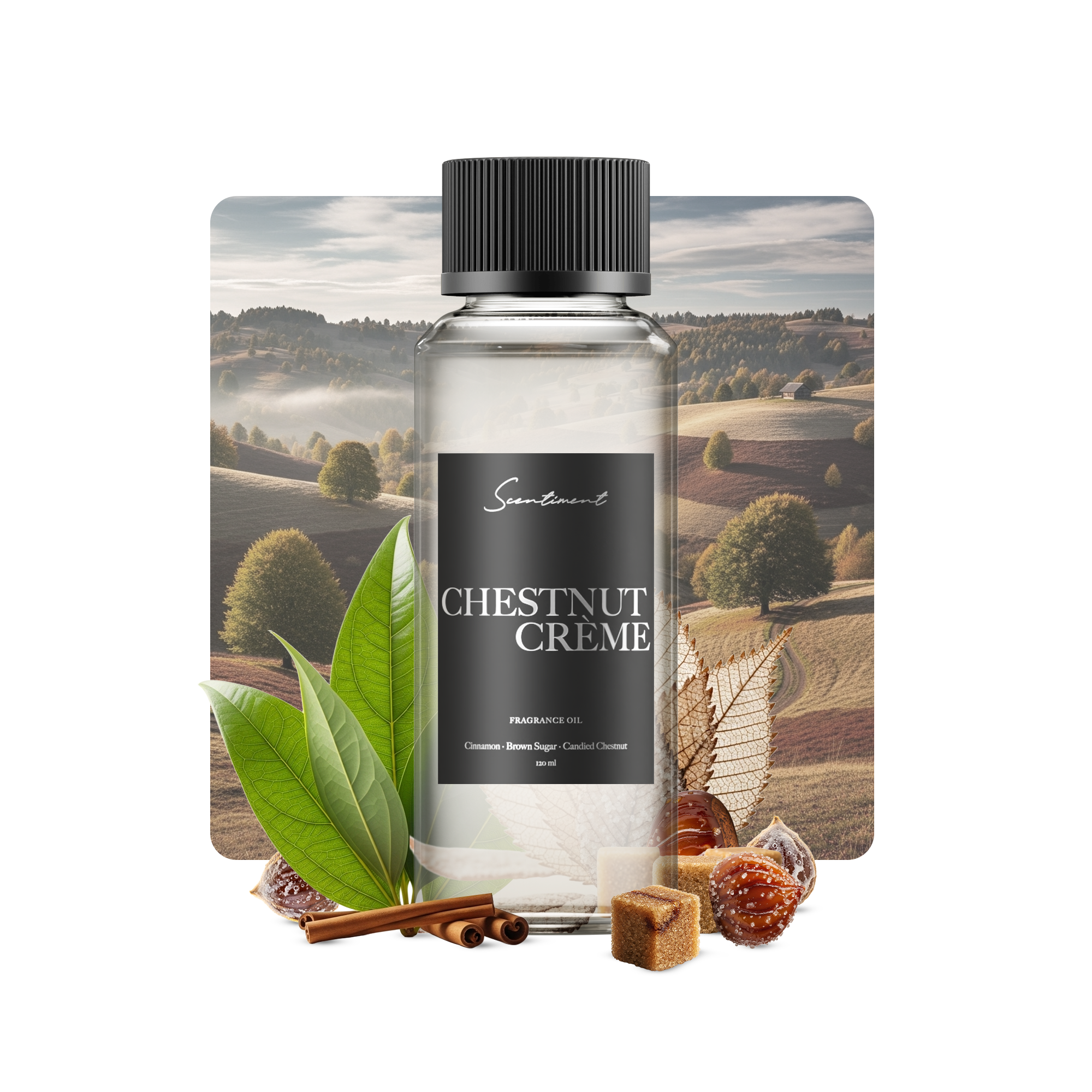 20 ml