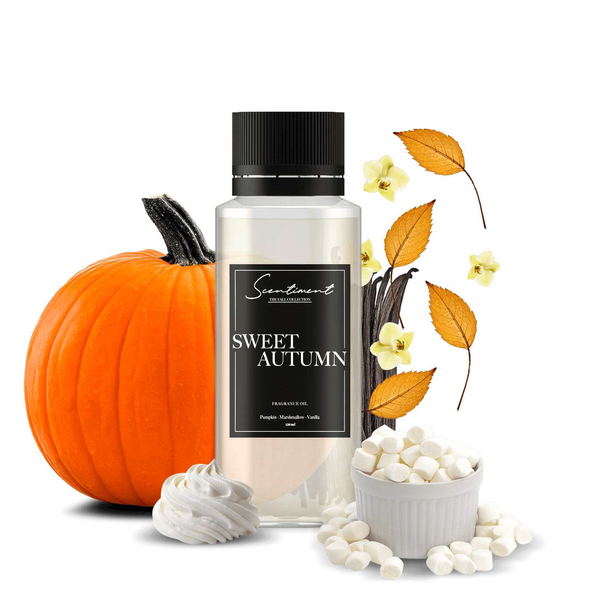 Sweet Autumn Fragrance Oil with notes of Pumpkin, Marshmallow, and Vanilla