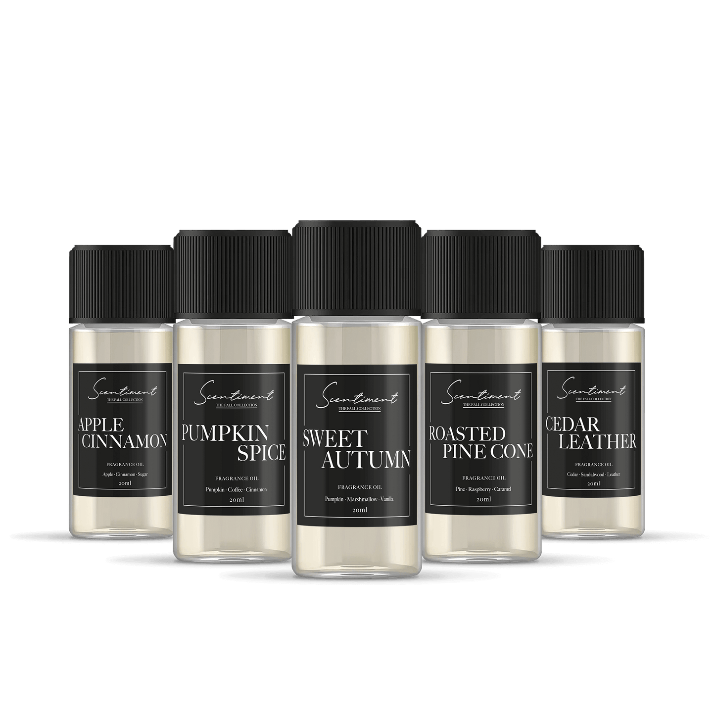 Top 5 Fall Collection 20 ml