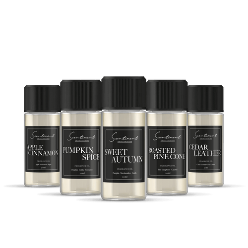 Top 5 Fall Collection 20 ml