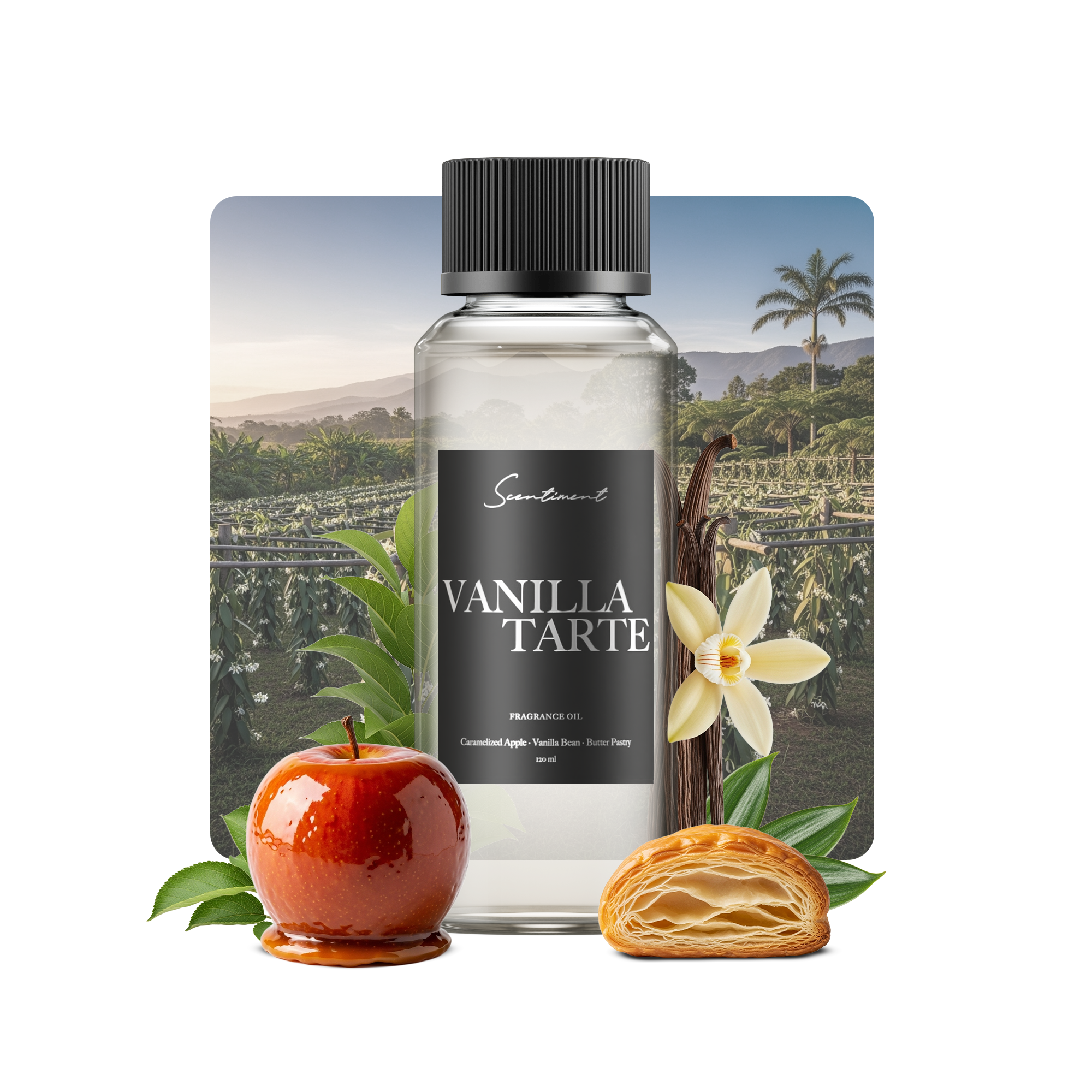 20 ml