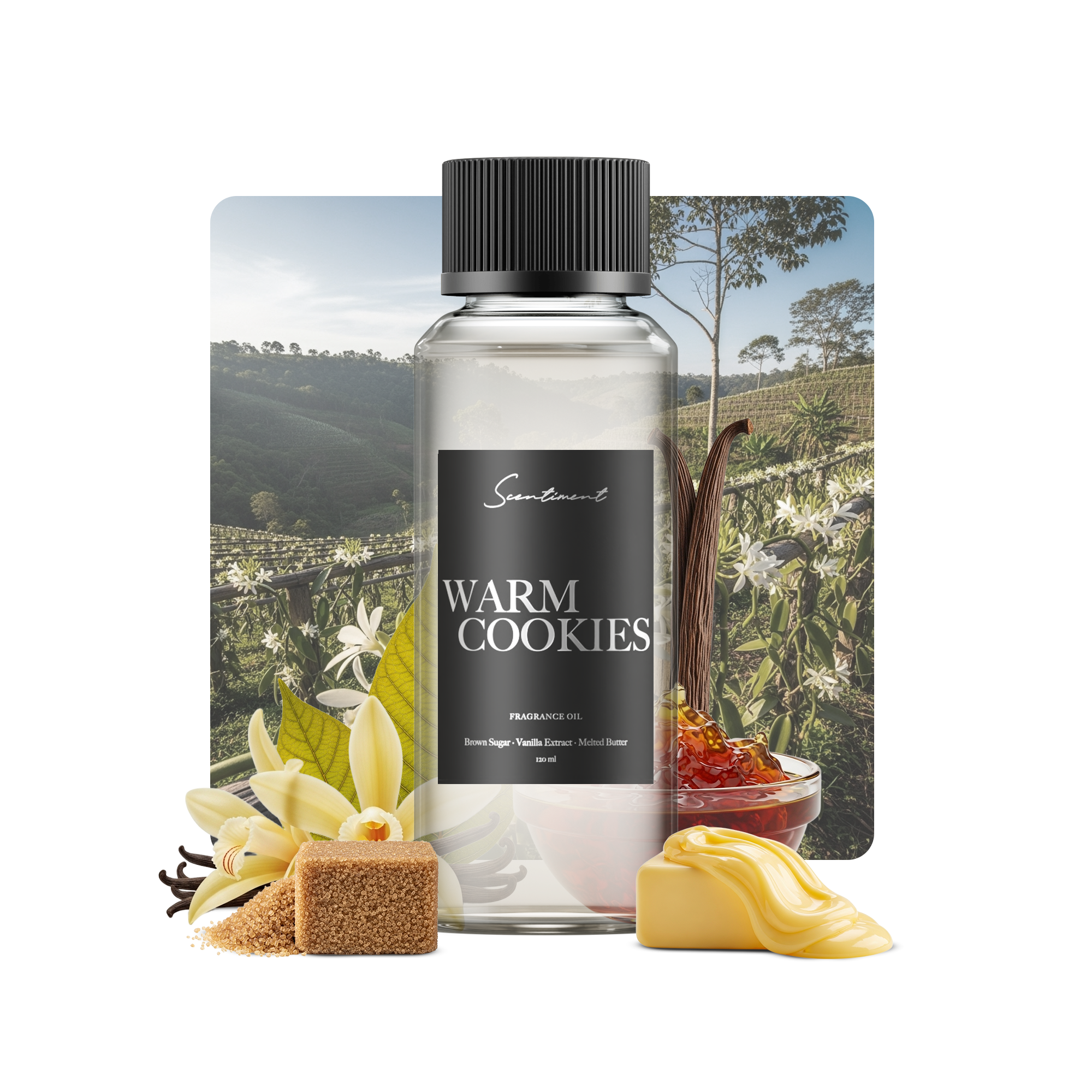 20 ml