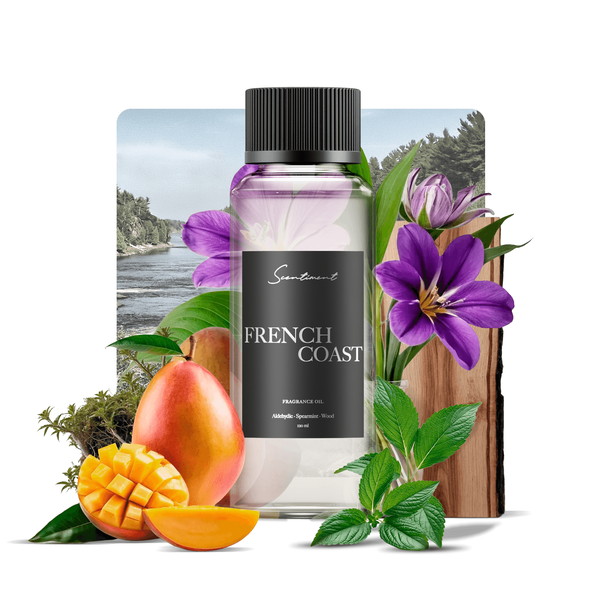 French Coast Fragrance Diffuser Oil Inspired by Monte Carlo Inn® With Ingredients