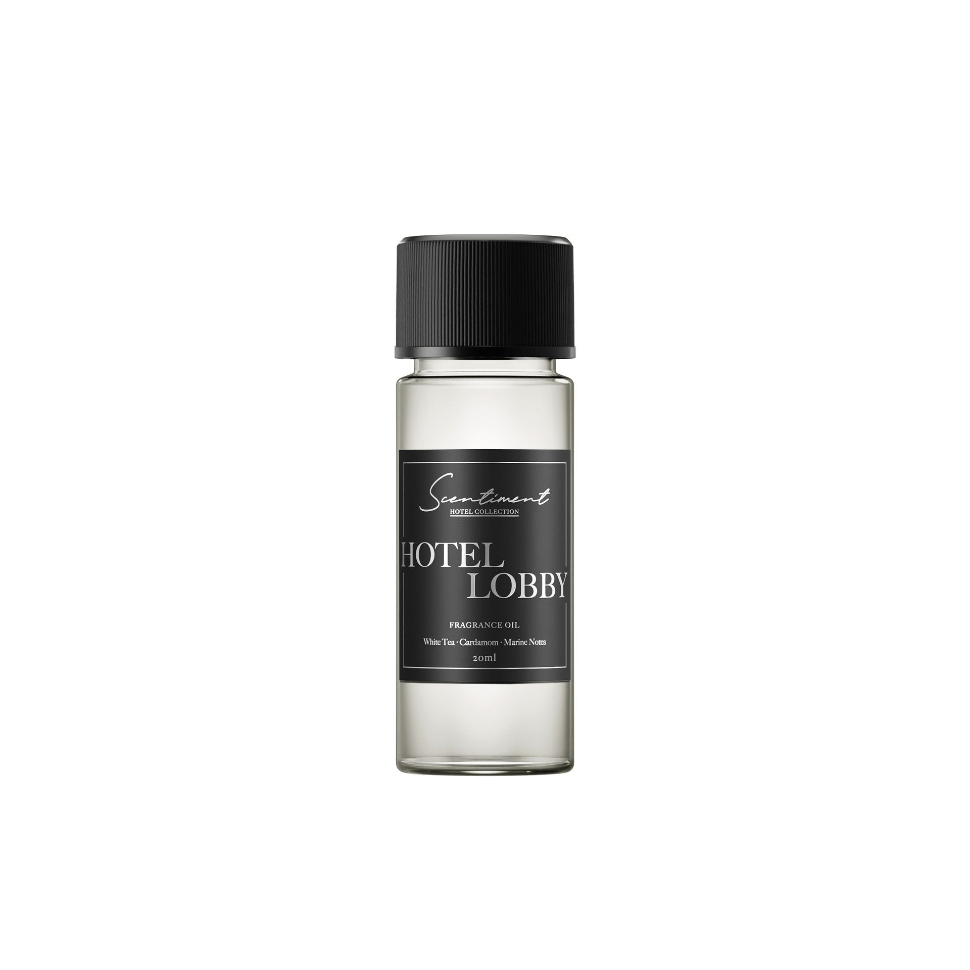 20 ml x 10
