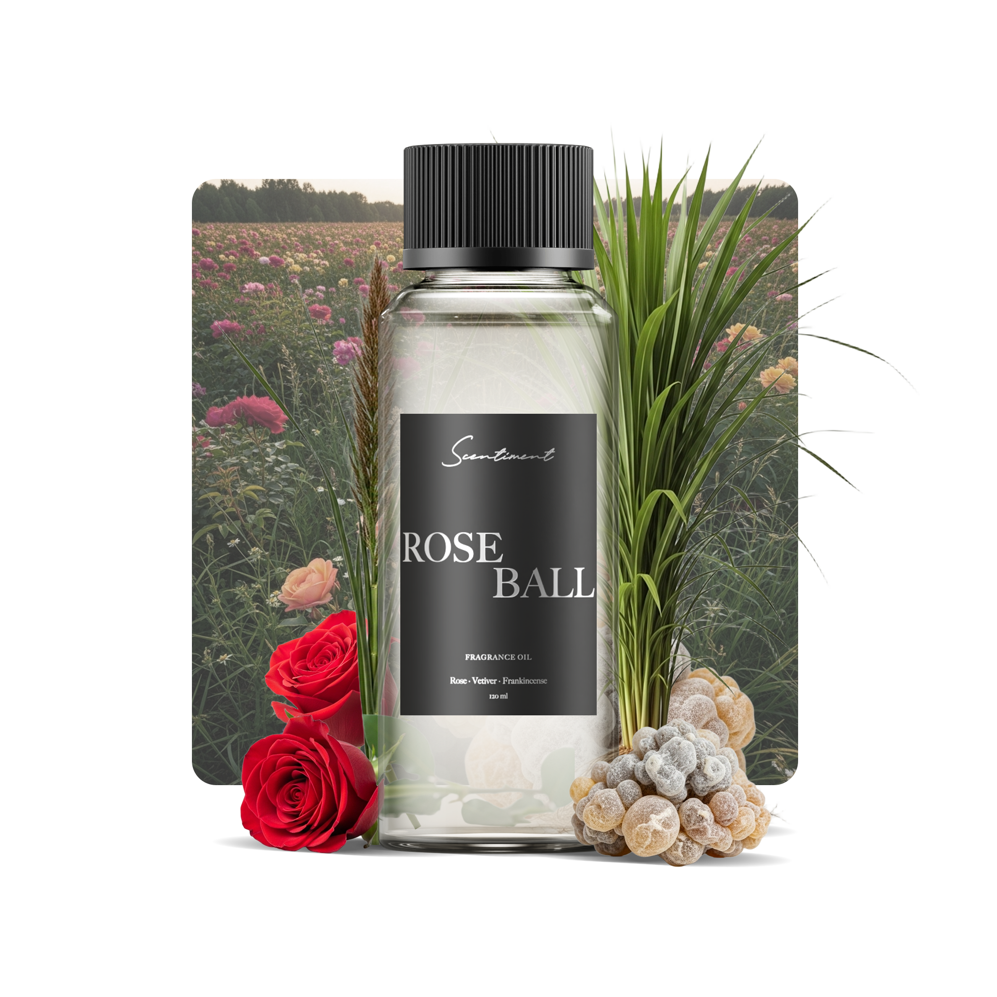 20 ml