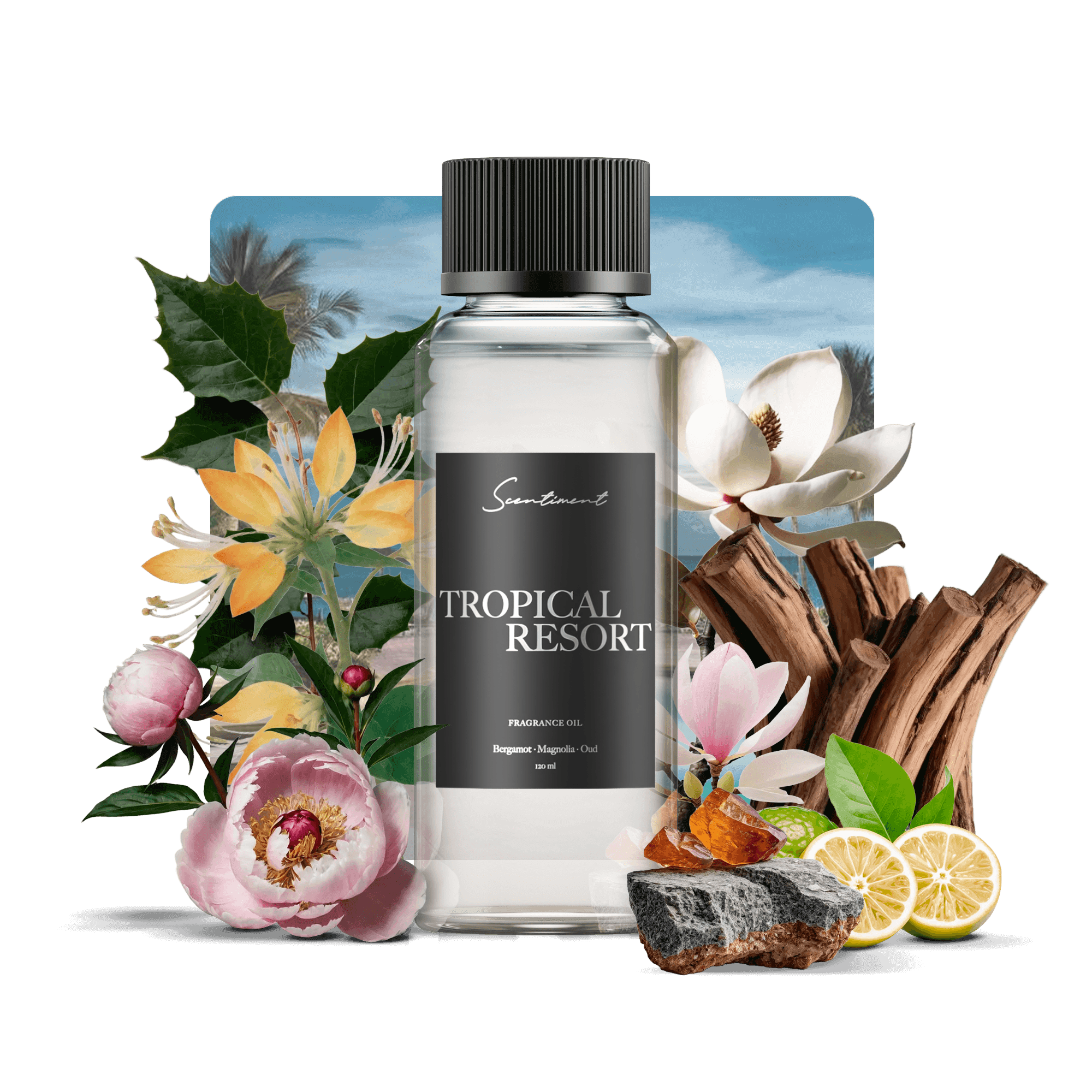 Tropical Resort Fragrance Diffuser Oil Inspired by Margaritaville® Hotels & Resorts With Ingredients