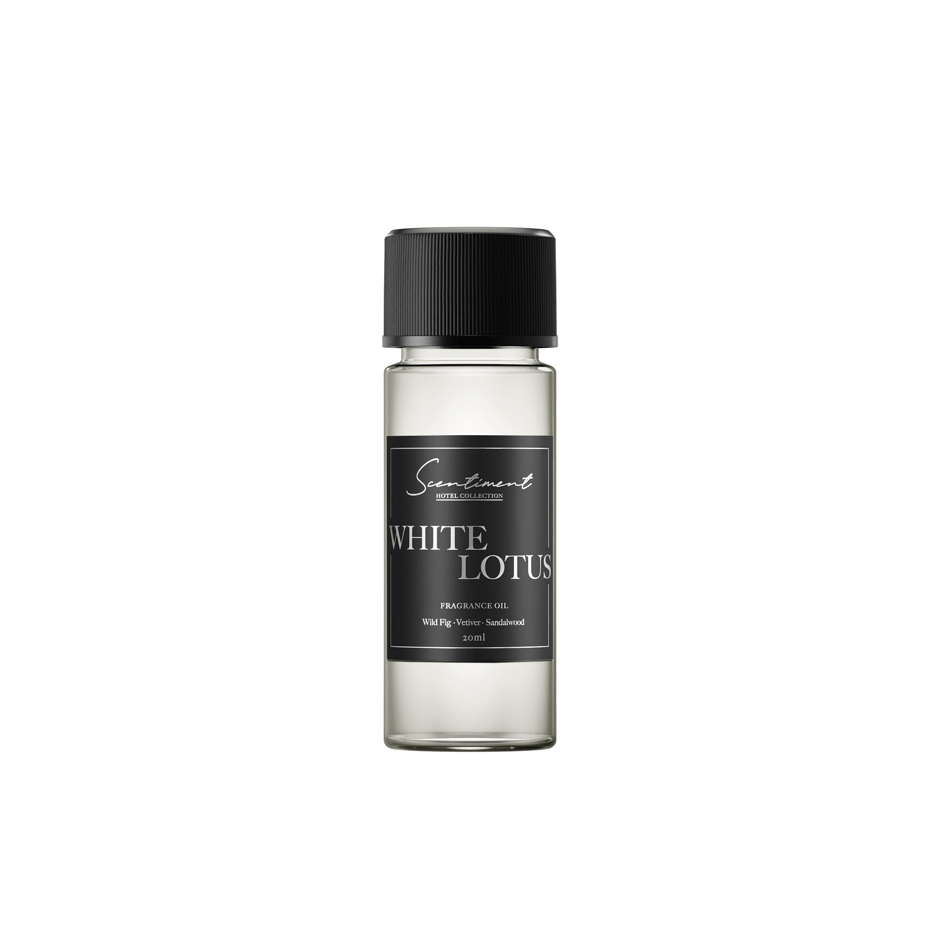 20 ml x 10