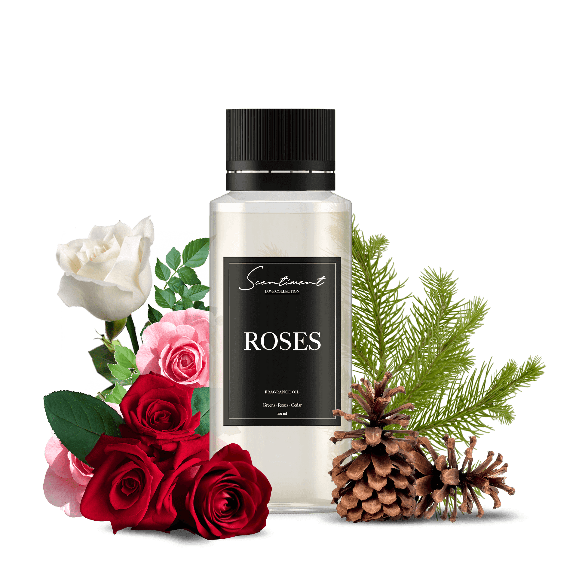 Roses Oil Fragrance, with notes of Greens, Roses, and Cedar.