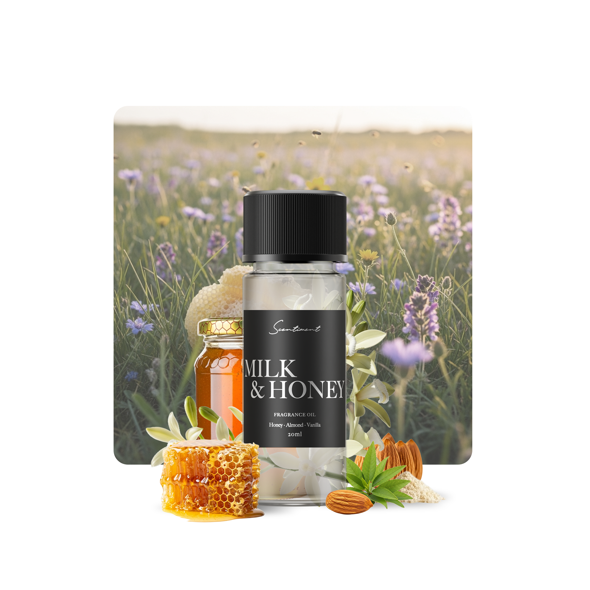 Milk & Honey Diffuser Oil Inspired by the cozy, creamy scent of Oatmeal Milk With Ingredients