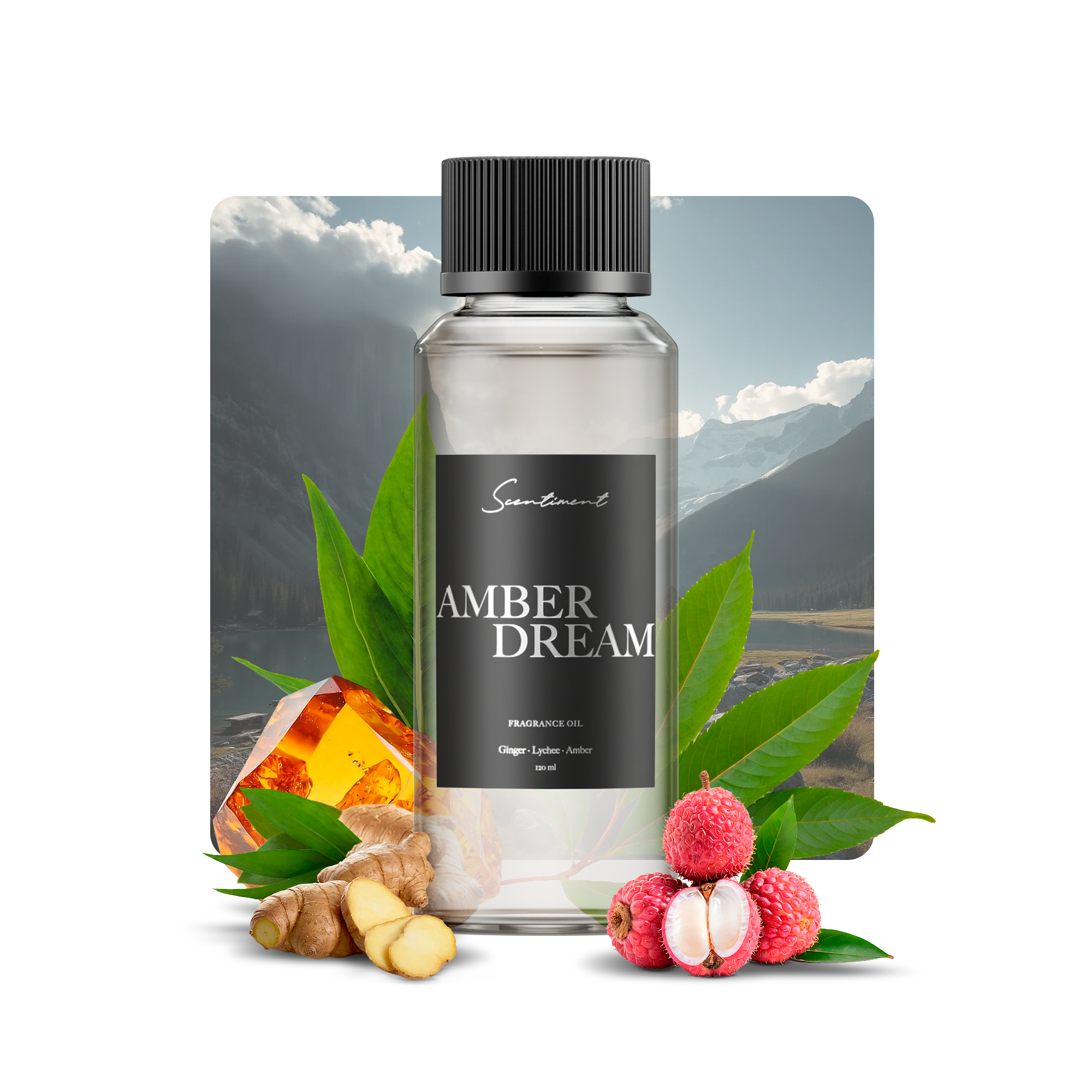 Amber Dream Fragrance Oil