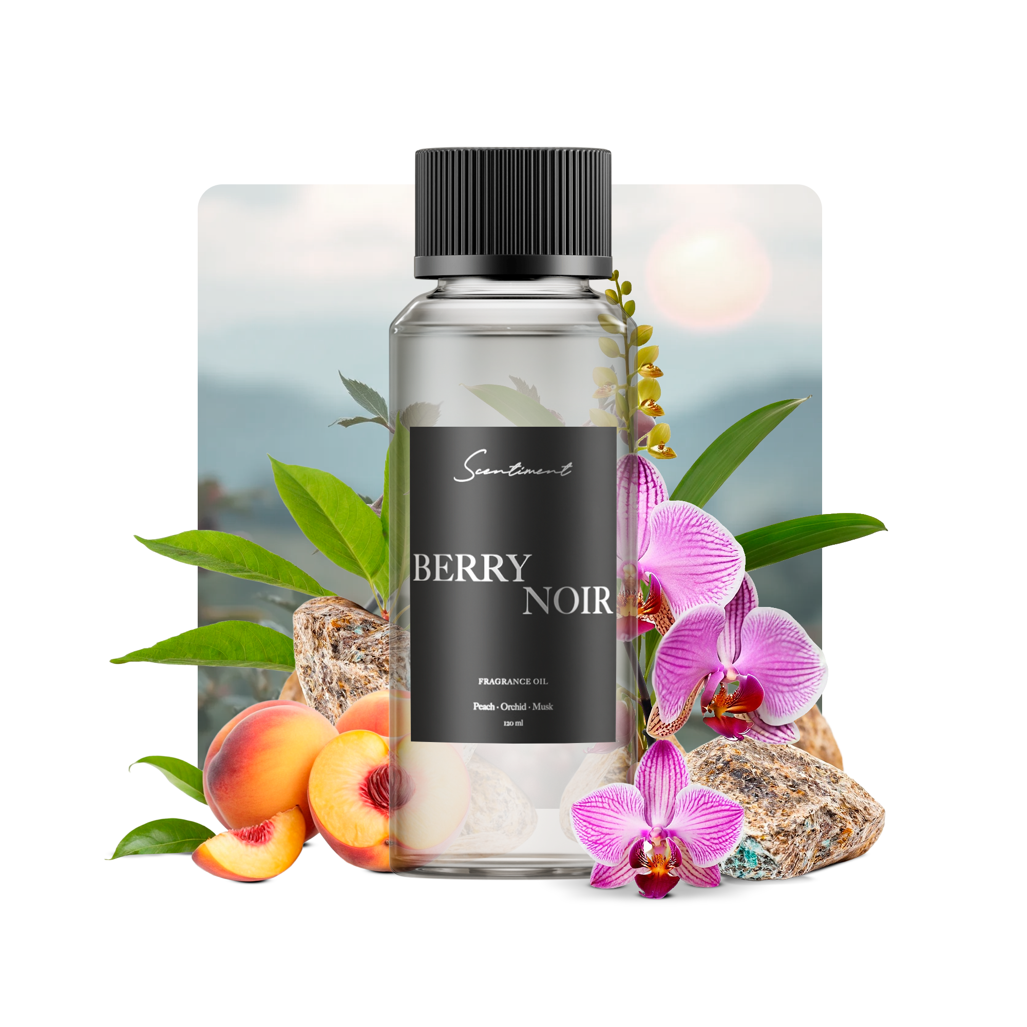 Berry Noir Fragrance Oil