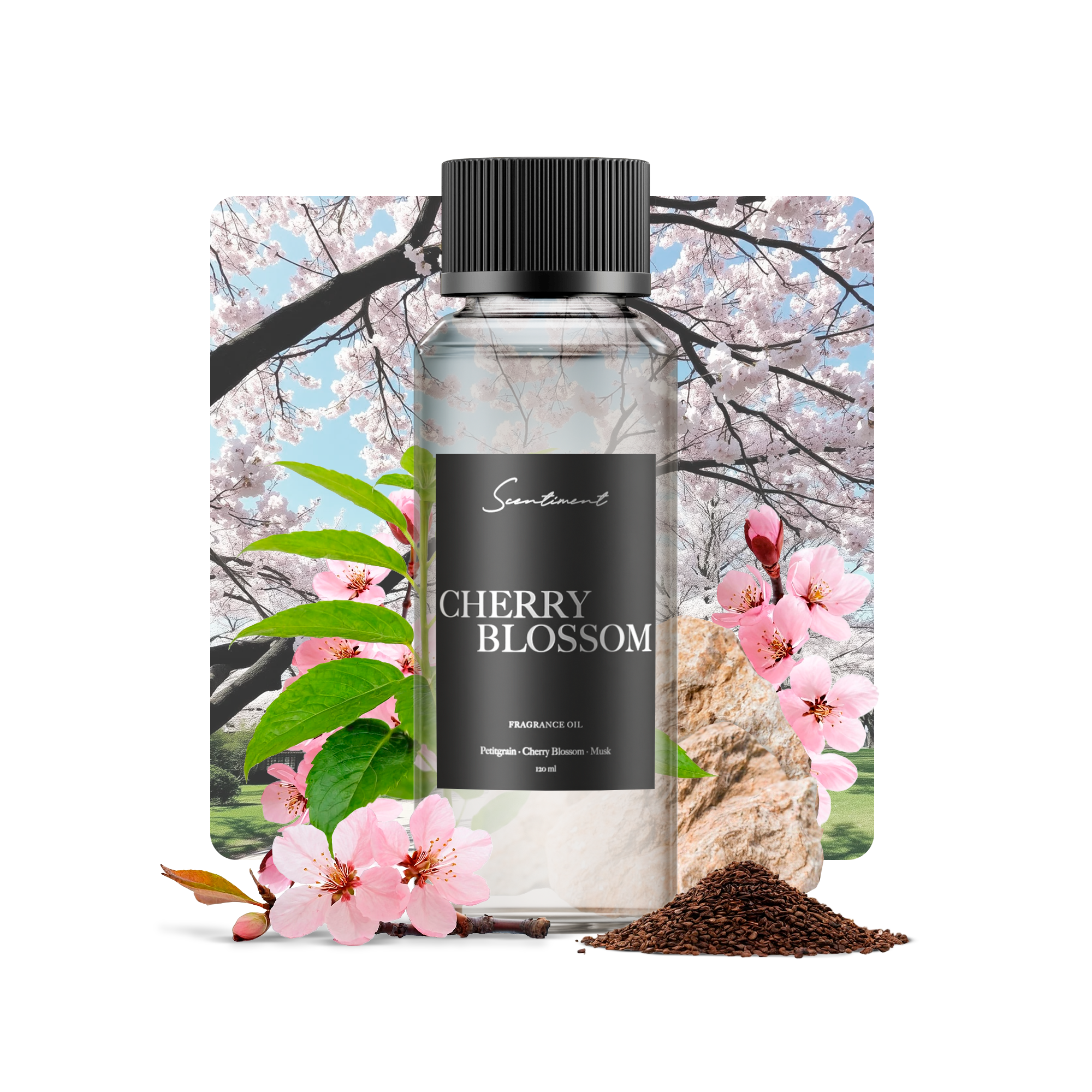 Cherry Blossom Fragrance Oil