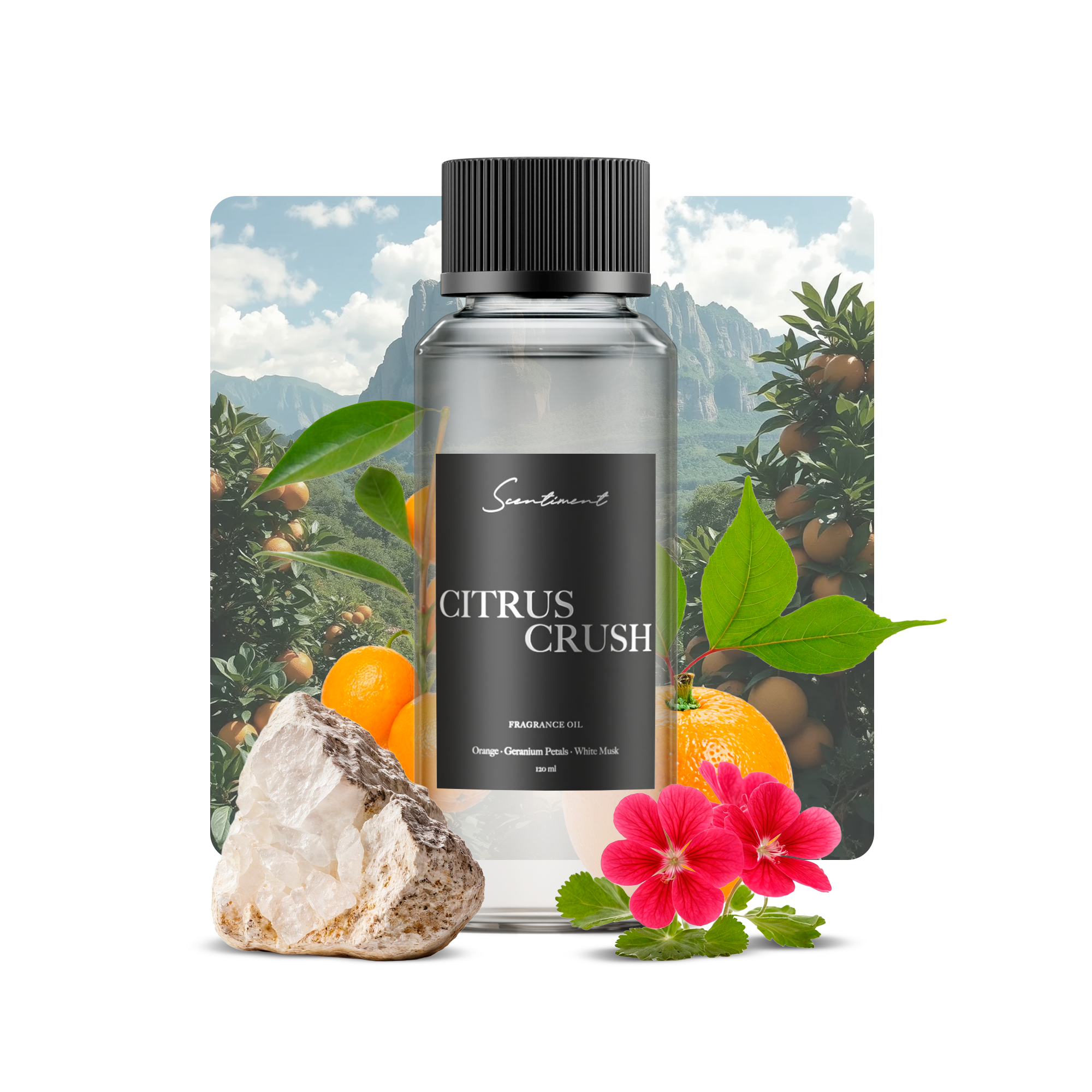 Citrus Crush Fragrance Oil