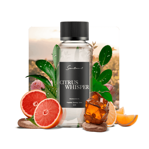 Citrus Whisper Fragrance Diffuser Oil Bottle with notes of Grapefruit, DewDrop, Amber