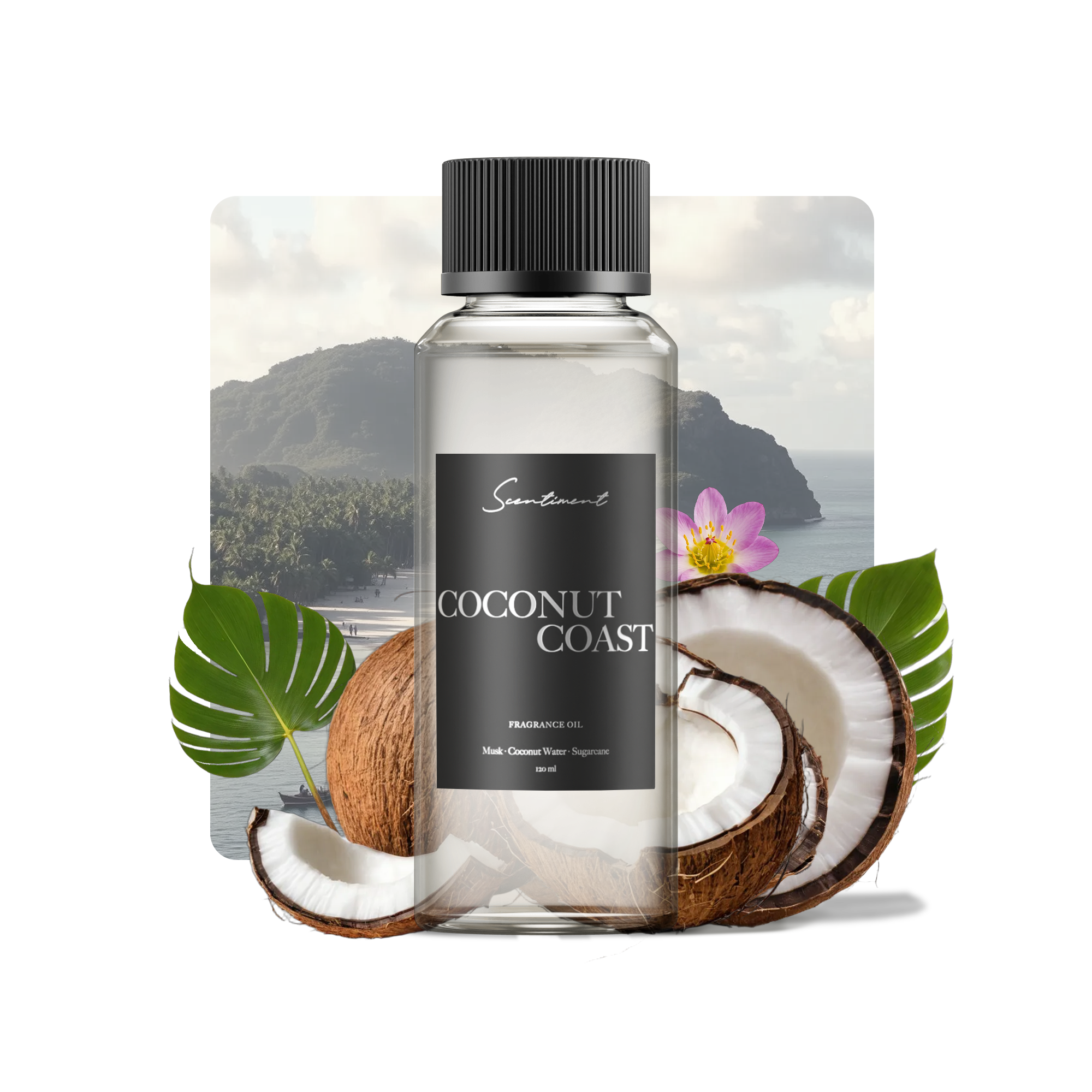 Coconut Coast Fragrance Oil with notes of Teakwood, Birch, Coconut Water, Musk, Sugarcane, Amber