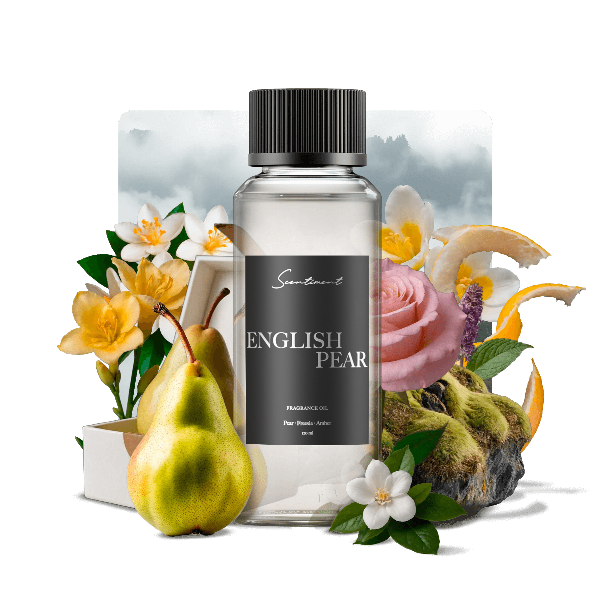 English Pear Fragrance Oil with notes of Pear, Freesia, Musk
