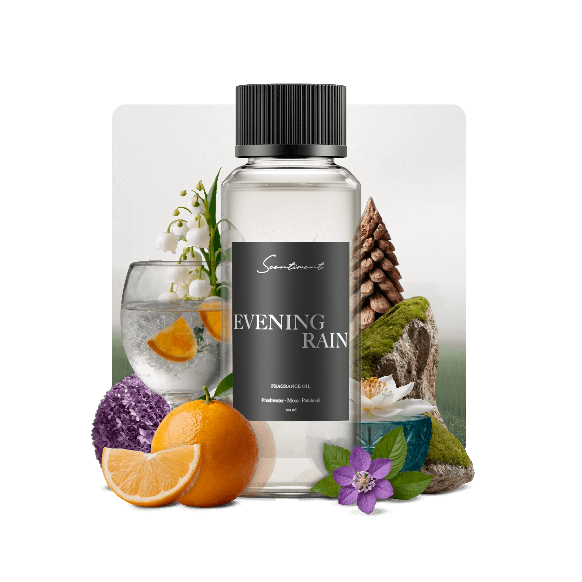 Evening Rain Fragrance Oil with notes of Dewy Citrus, Moss, Earthy Musk