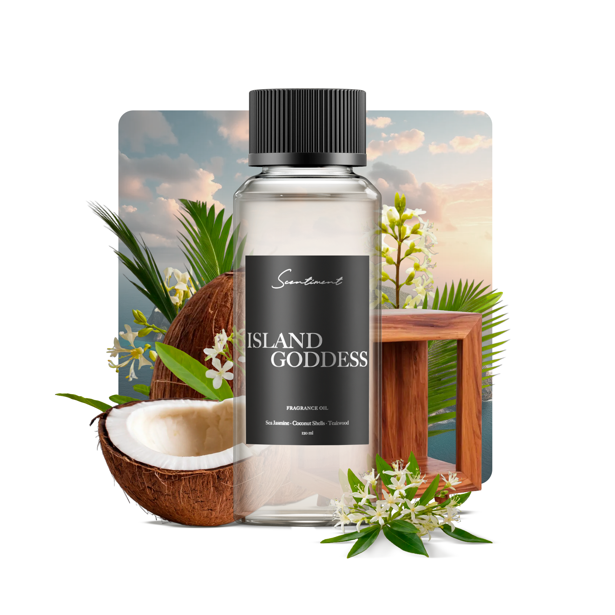 Island Goddess Fragrance Oil with notes of Sea Jasmine, Sugared Plantains, Coconut Shells, Teakwood, Sandalwood Musk, Seaweed