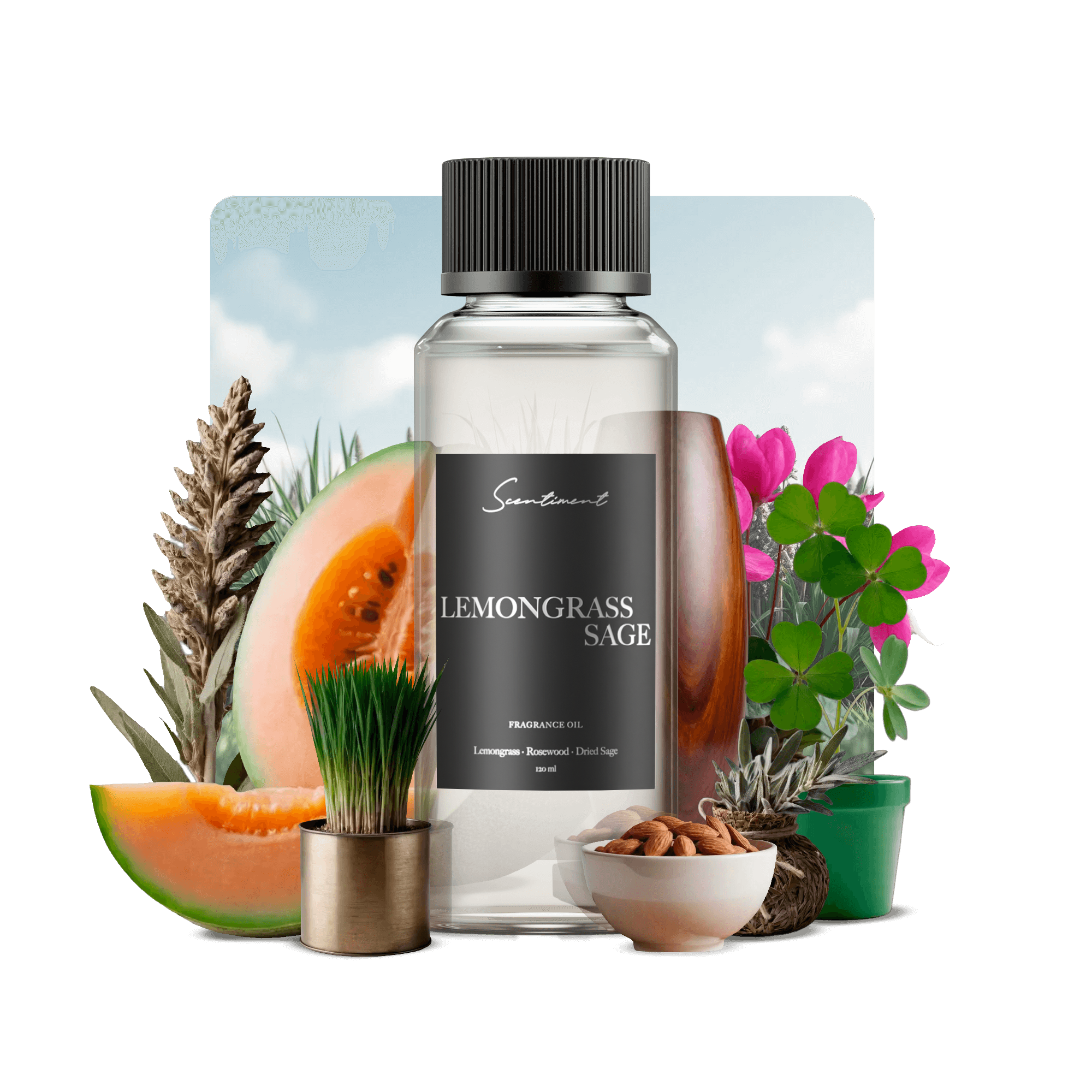 Lemongrass Sage Fragrance Oil with notes of Lemongrass, Rosewood, Musk