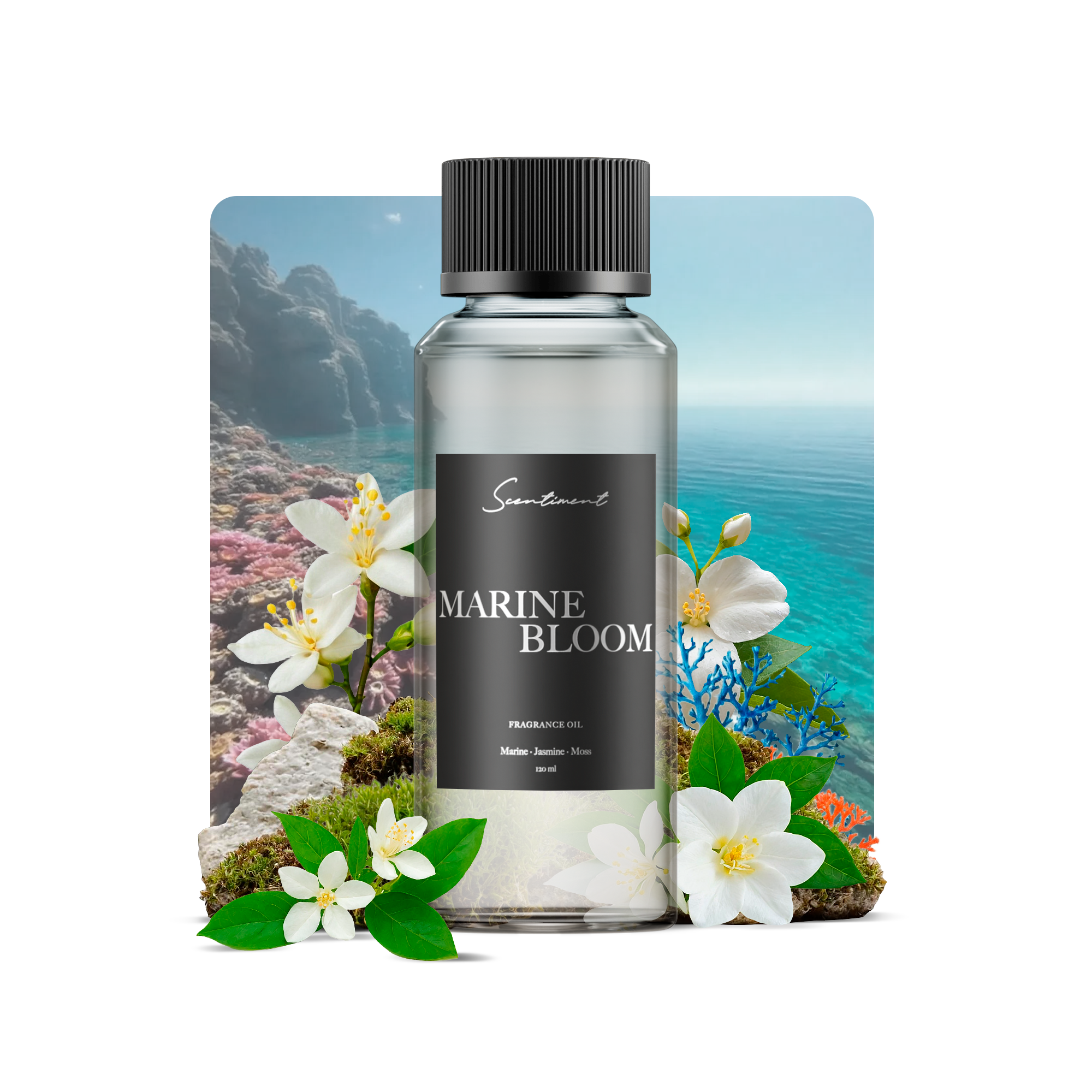 Marine Bloom Fragrance Oil